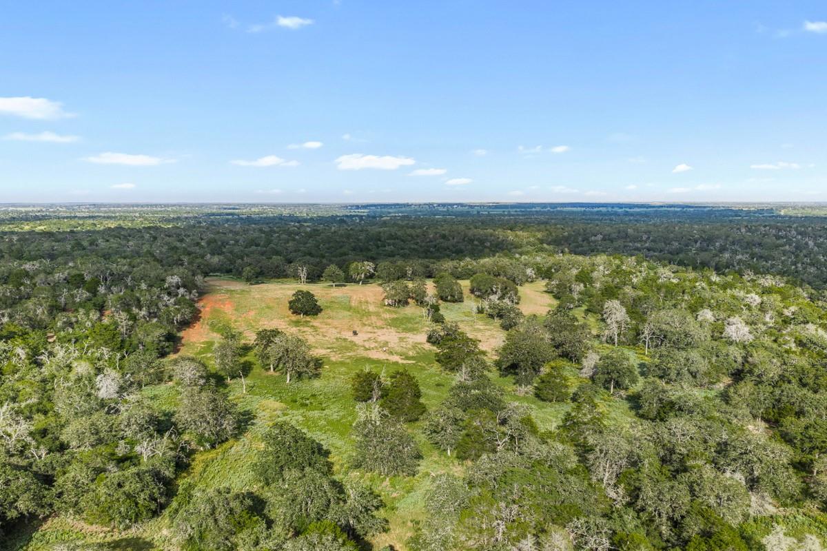 2524 Sandy Fork Rd Property Photo 18