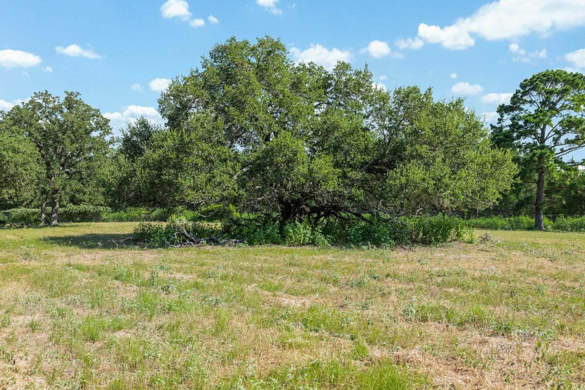 2524 Sandy Fork Rd Property Photo 34