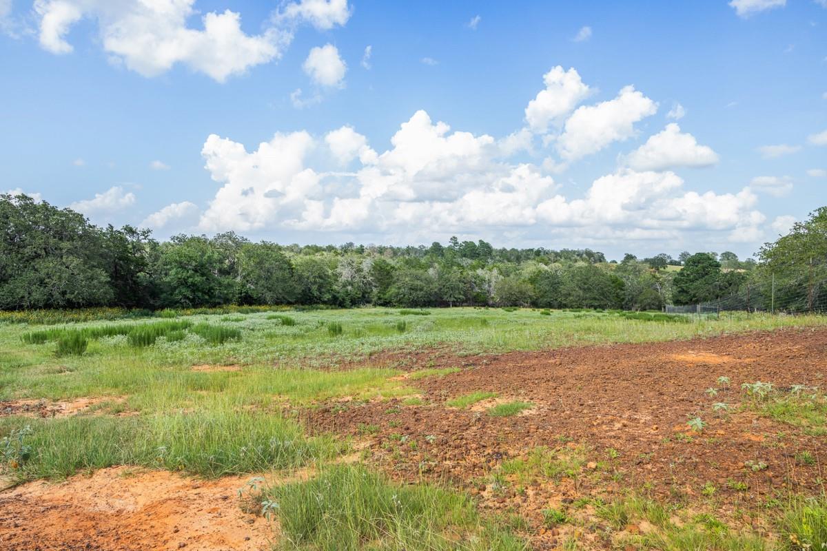 2524 Sandy Fork Rd Property Photo 37