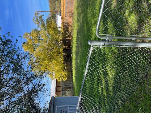 110 Midnight Sun Dr Property Photo 20