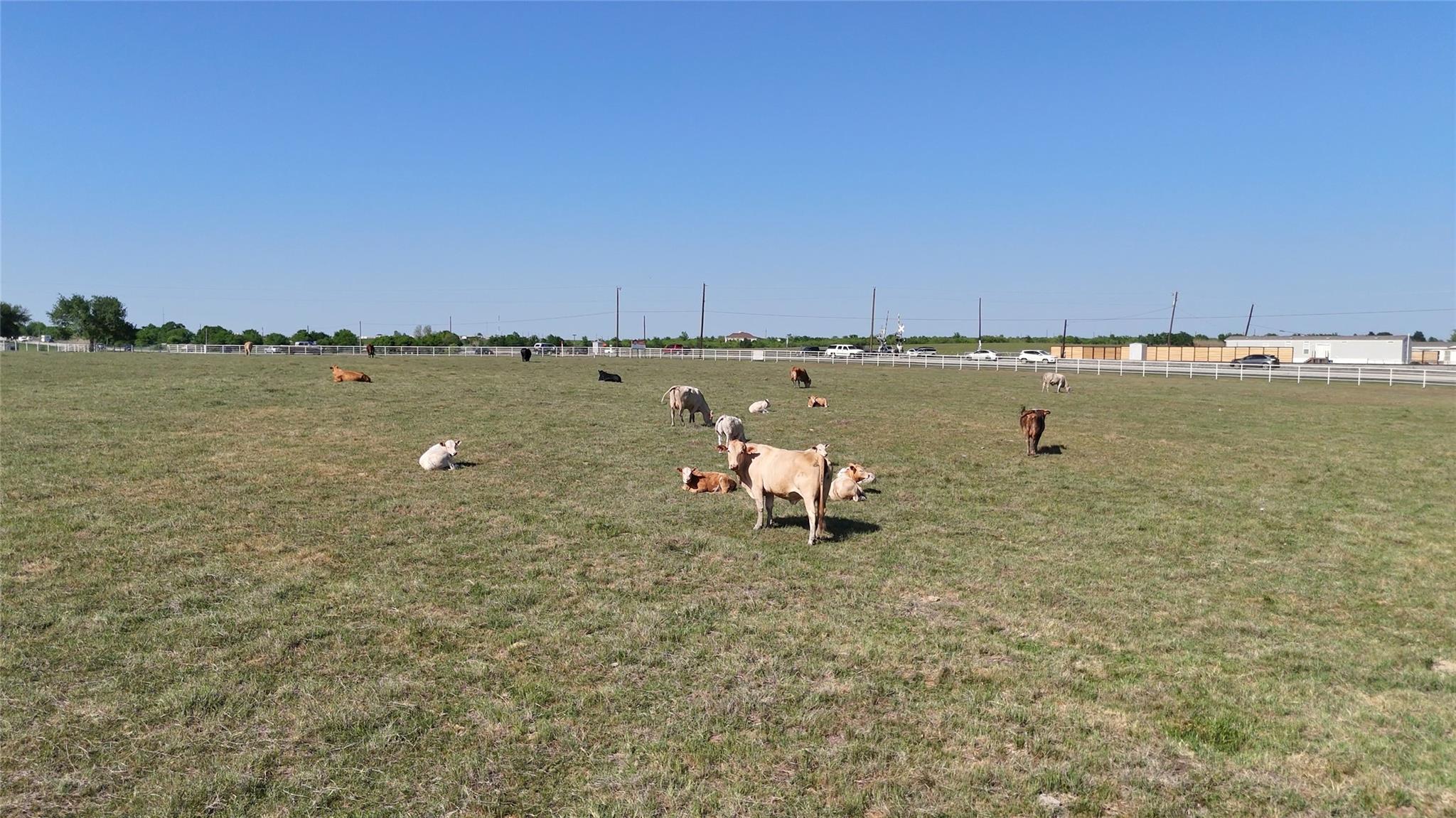 111 Lund Rd Property Photo 12