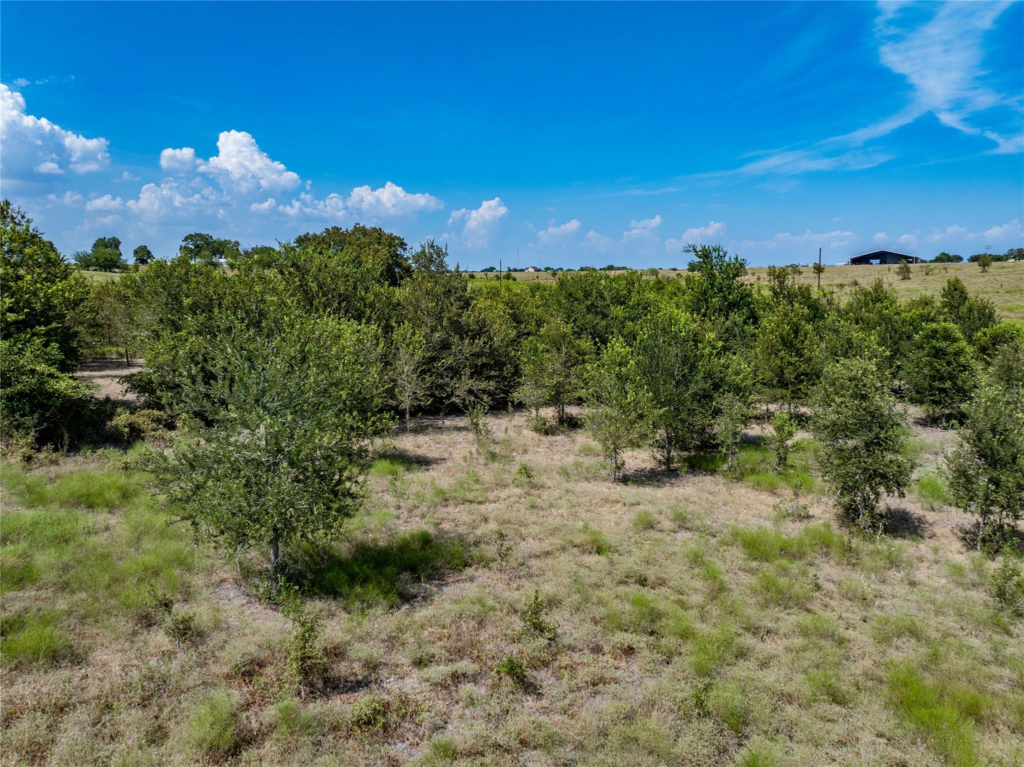 Tract 4 Guenther Rd Property Photo 18