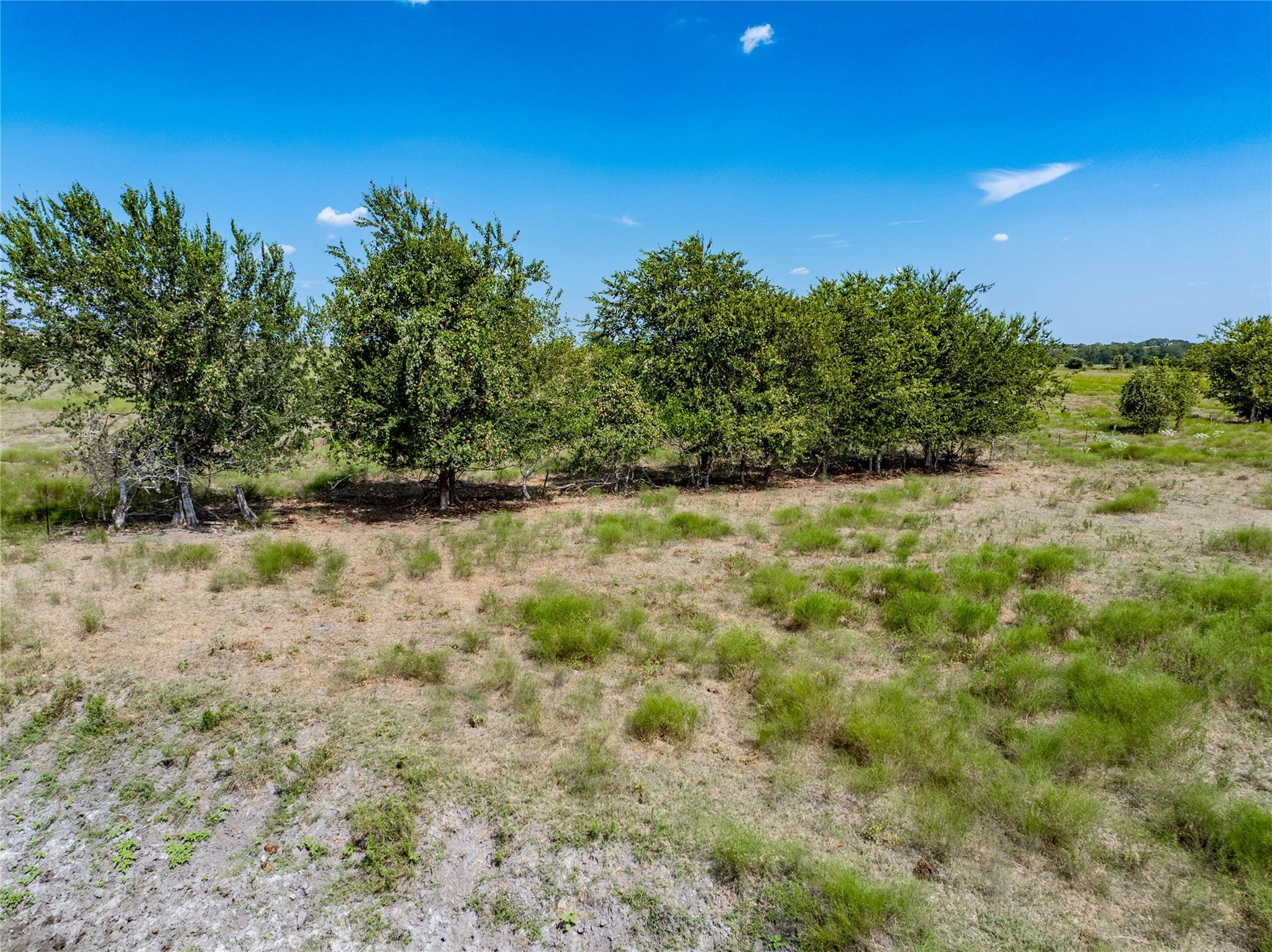 Tract 4 Guenther Rd Property Photo 19