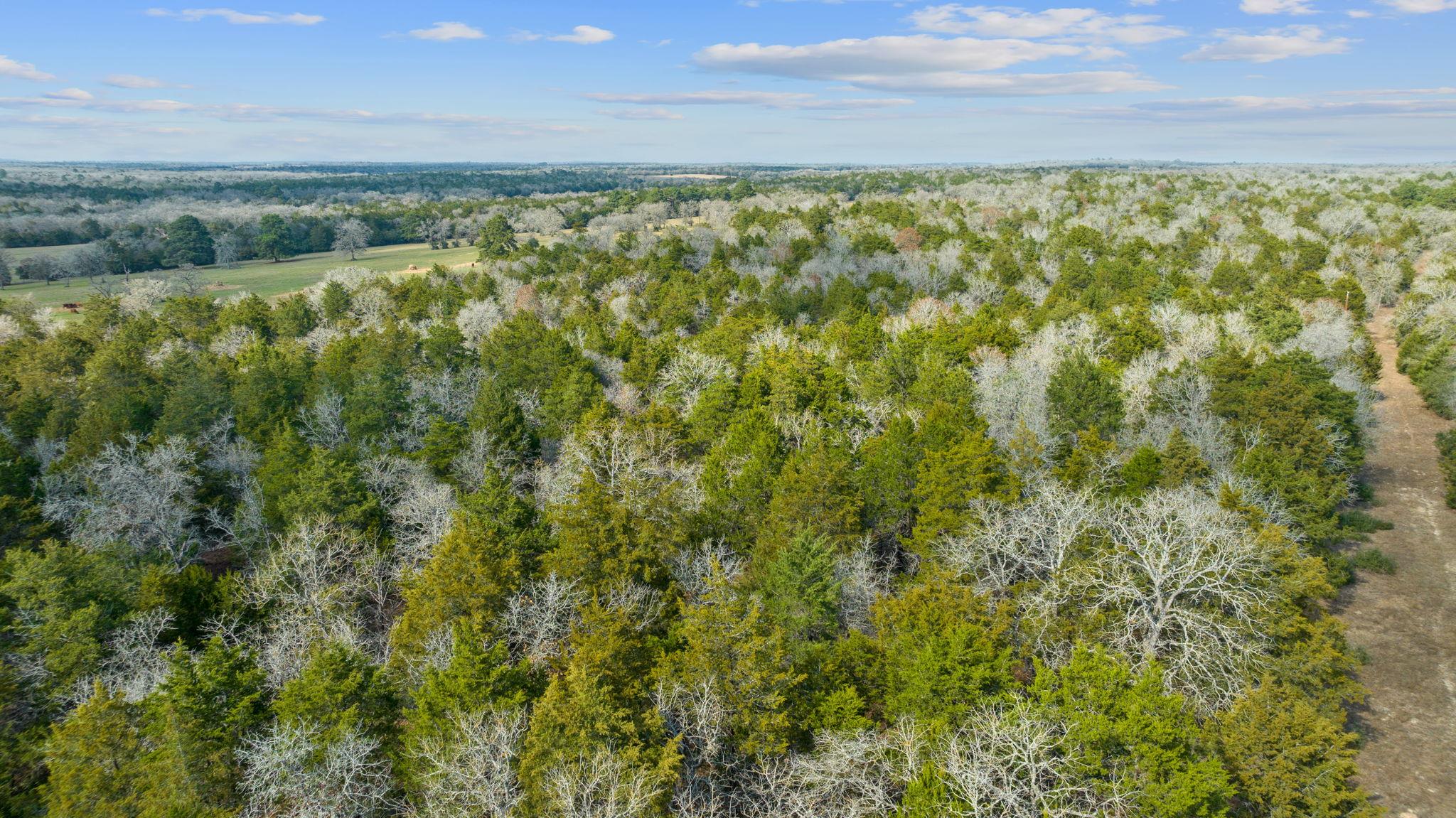 16945 Fm 713 None Property Photo 1