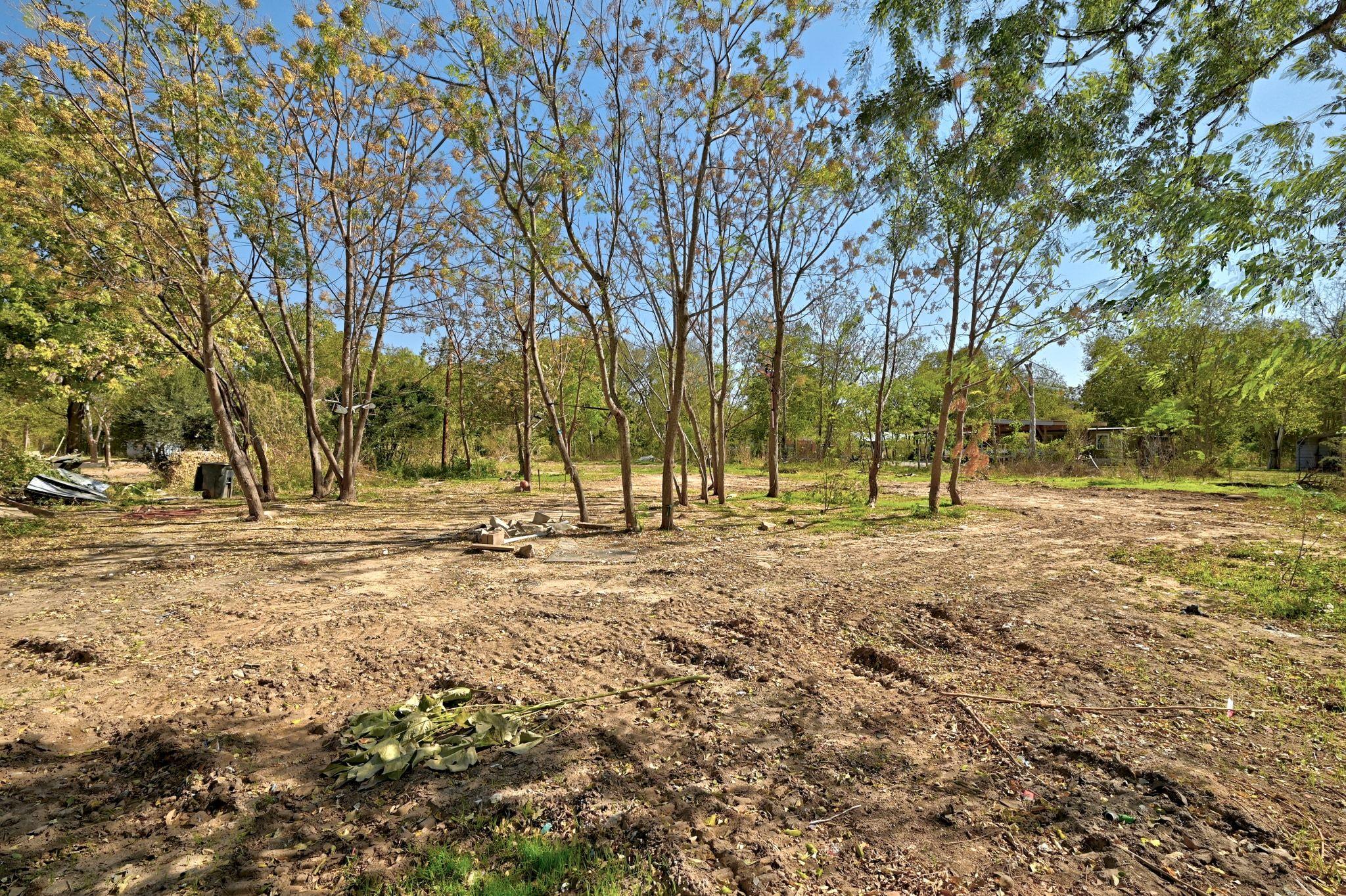 2004 Whirlaway Dr Property Photo 4