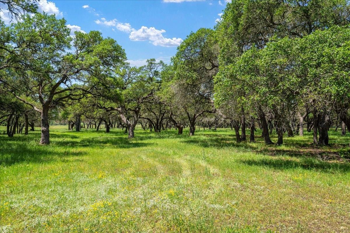 Blanco Real Estate Listings Main Image