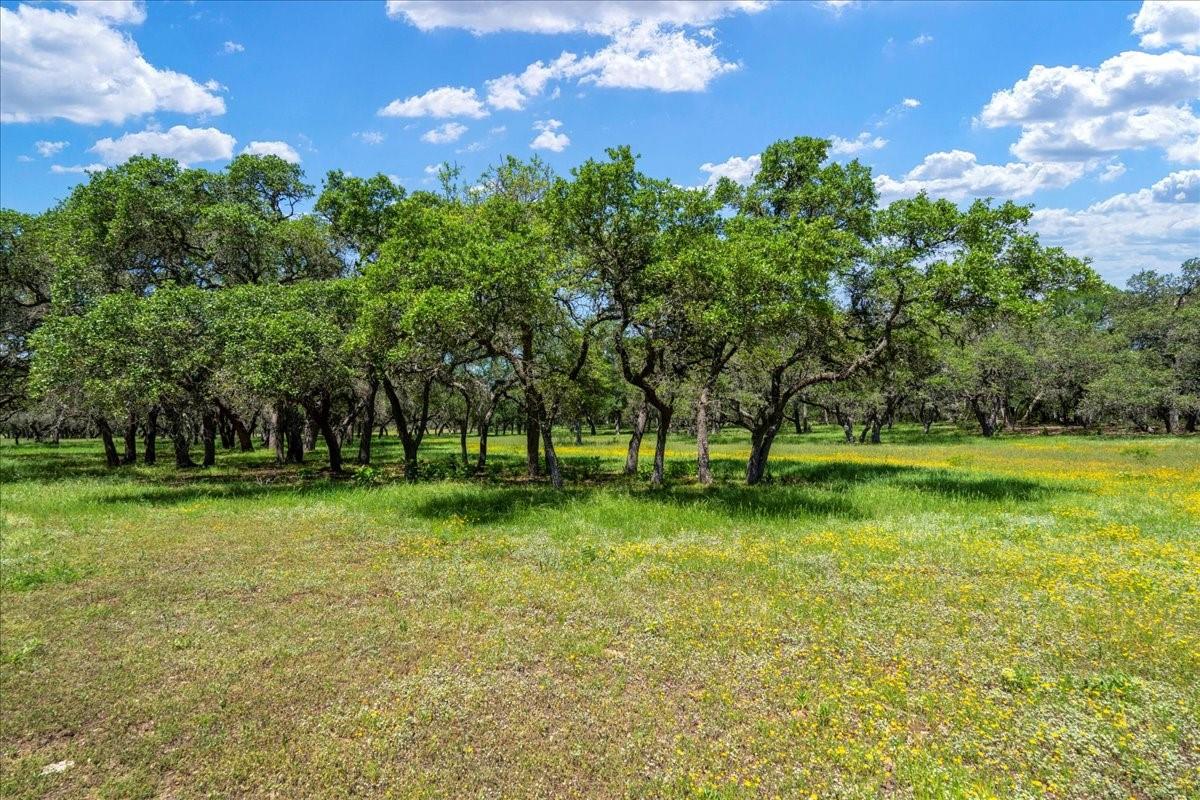 3310 Fm 165 Property Photo 3