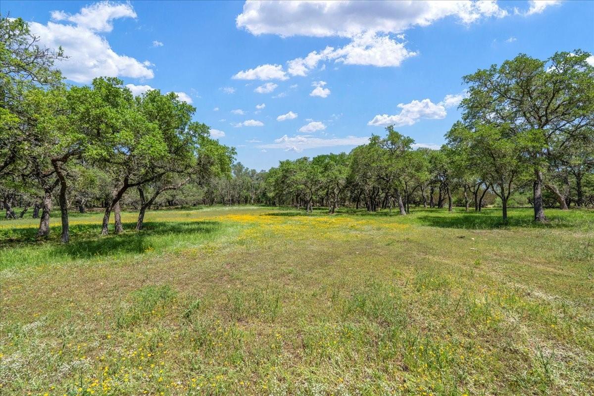3310 Fm 165 Property Photo 6