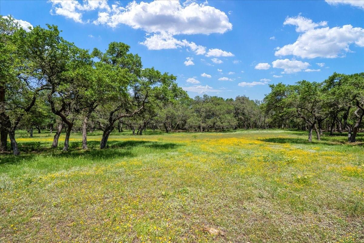 3310 Fm 165 Property Photo 8