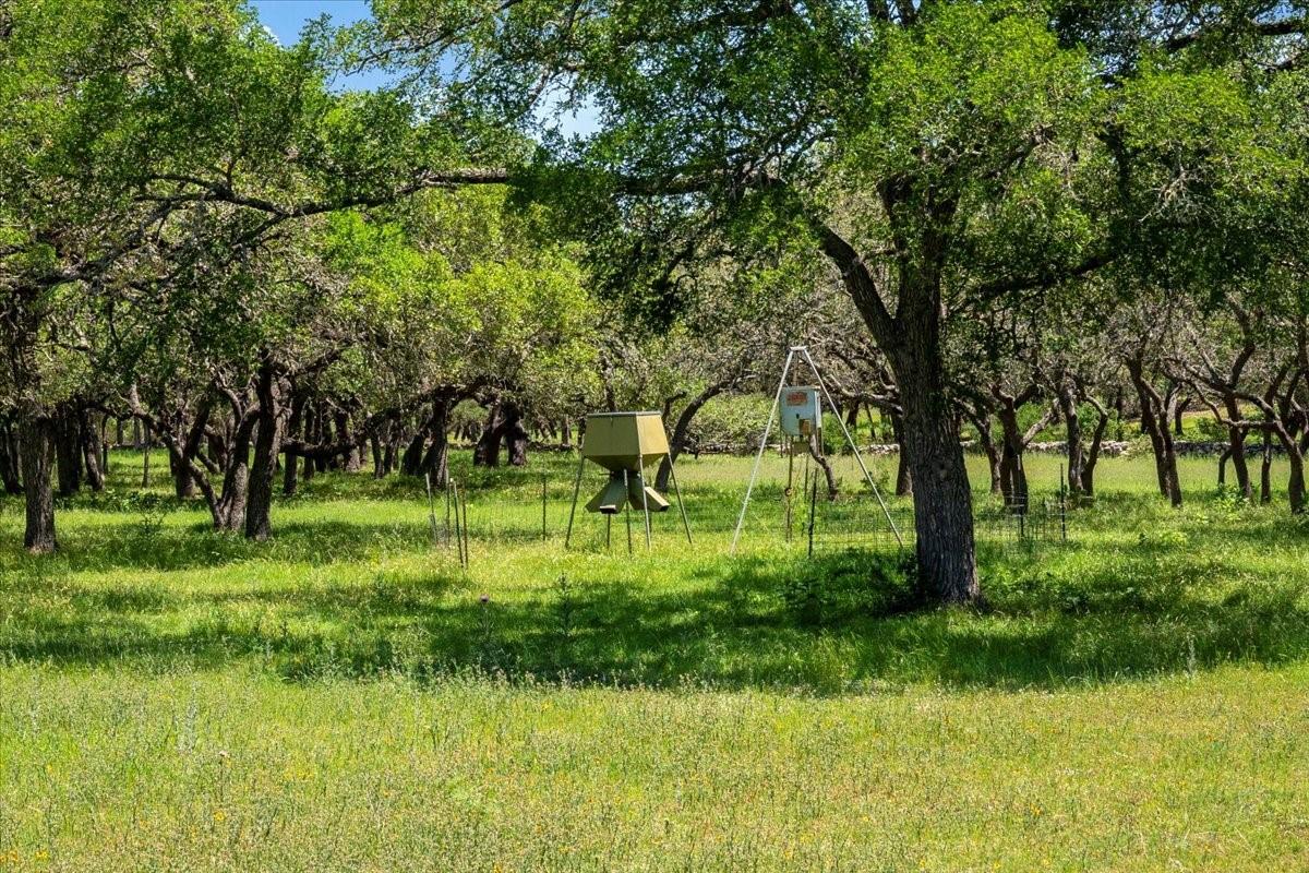 3310 Fm 165 Property Photo 9