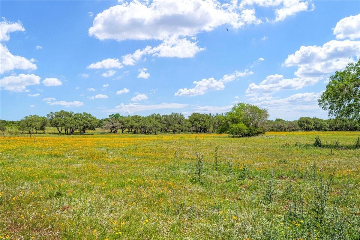 3310 Fm 165 Property Photo 11