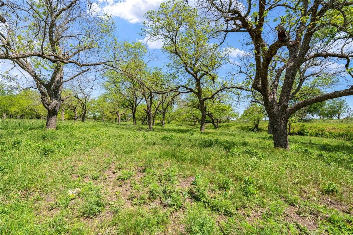 3310 Fm 165 Property Photo 25