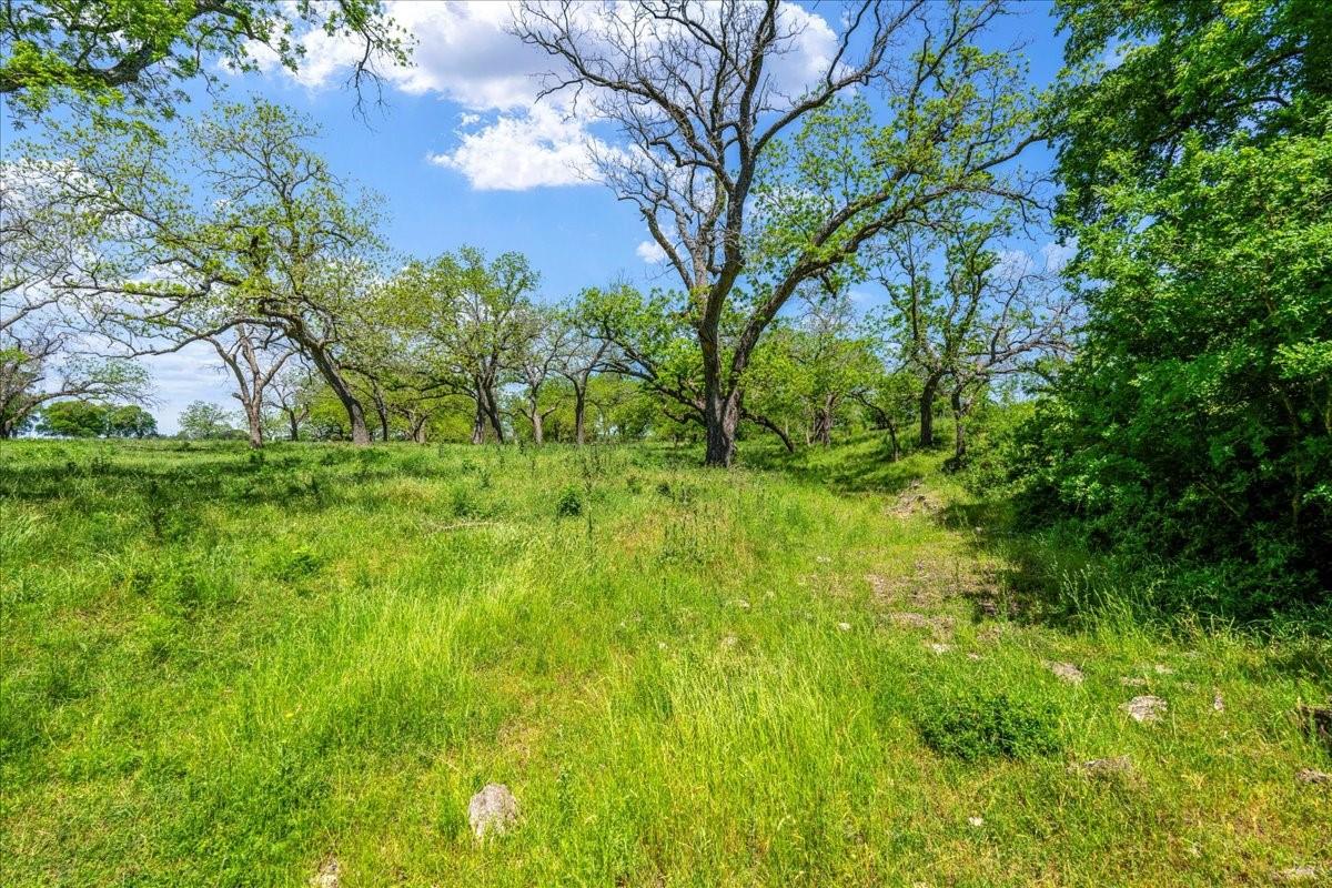 3310 Fm 165 Property Photo 27