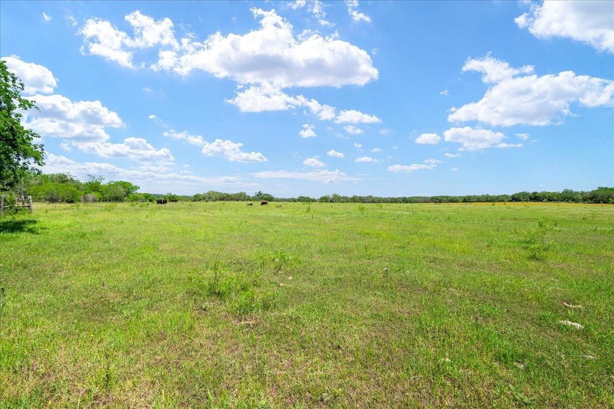 3310 Fm 165 Property Photo 29