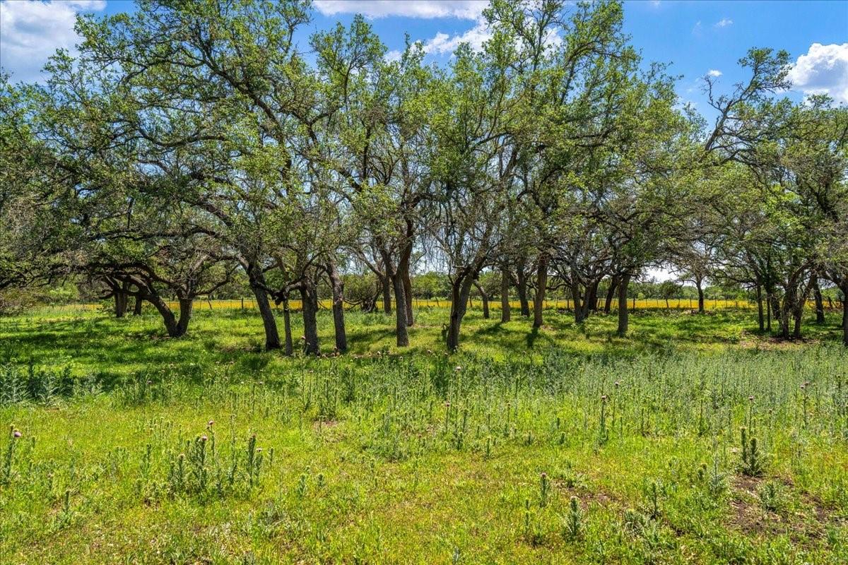 3310 Fm 165 Property Photo 33