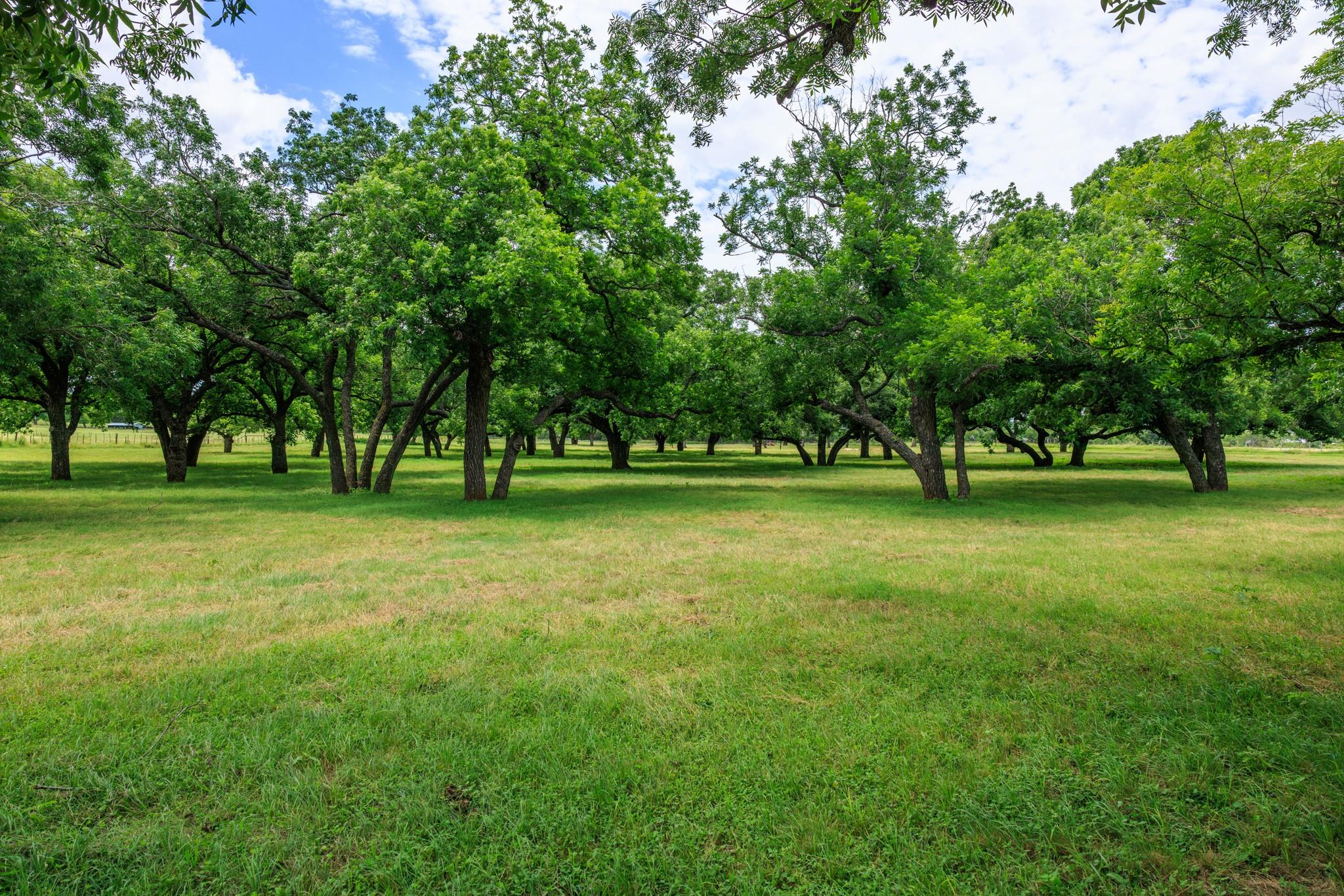 1670 Fm 2093 None Property Photo 29