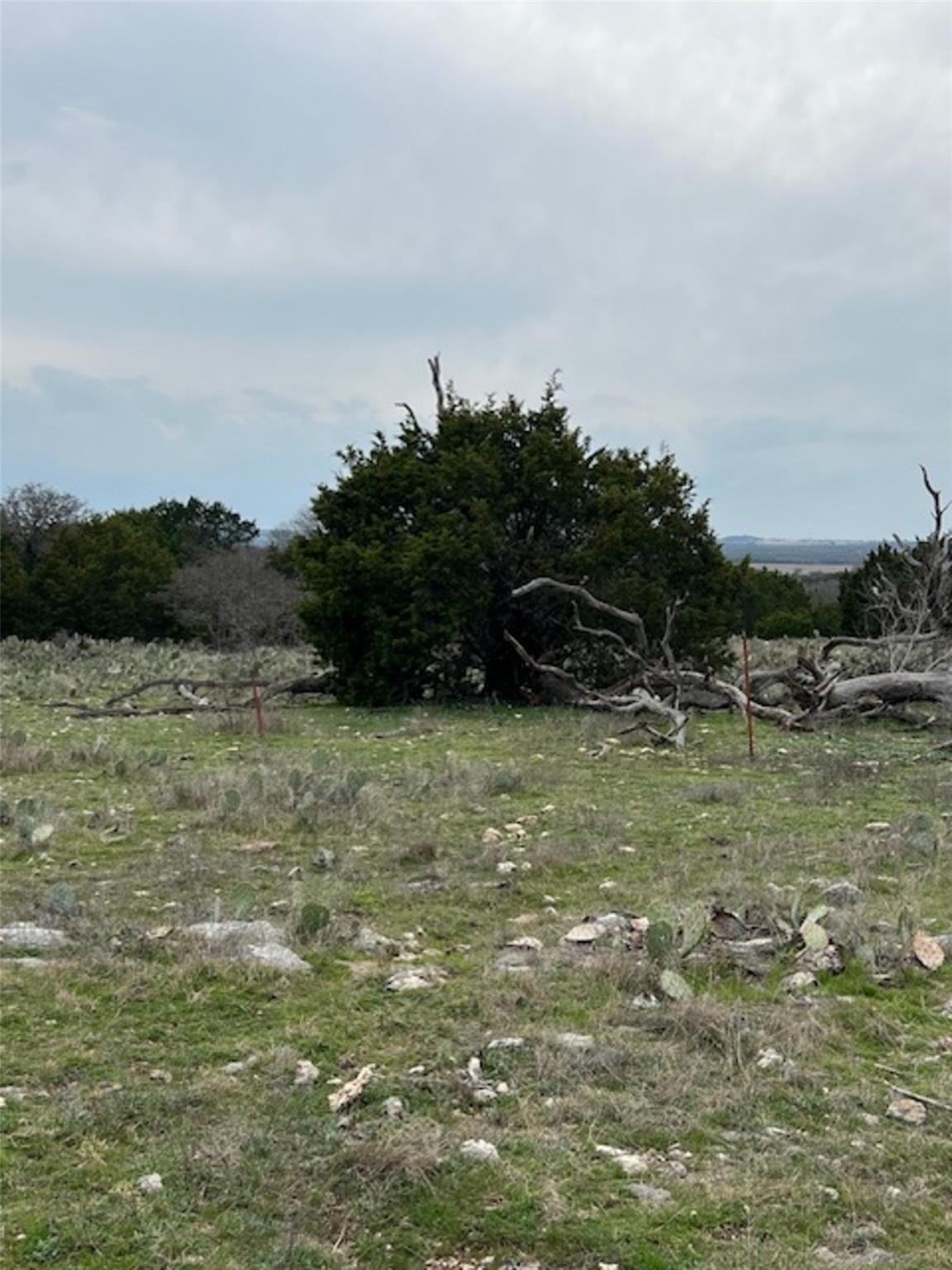 4238 E. Fm 581 None Property Photo 7