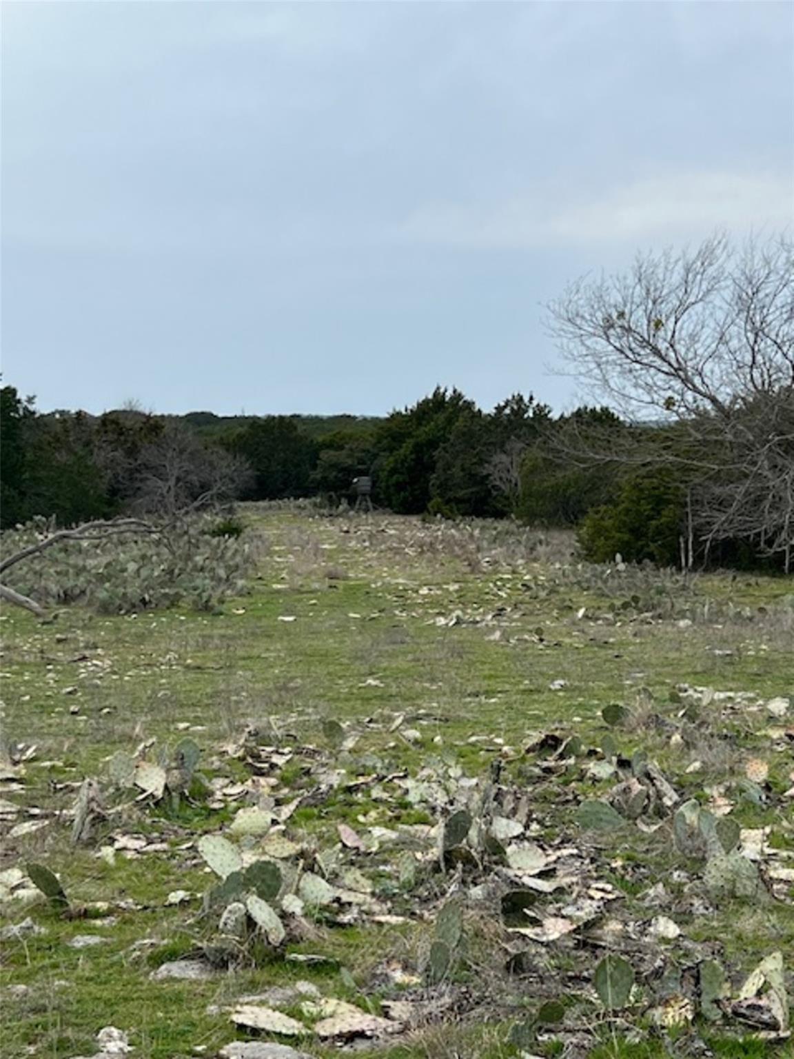 4238 E. Fm 581 None Property Photo 9