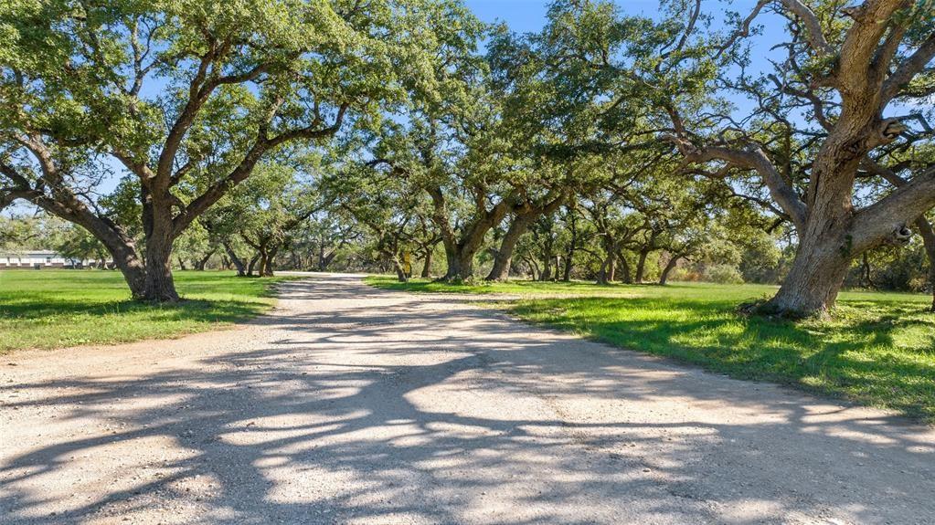 7400 Ranch Road 12 Rd Property Photo 3