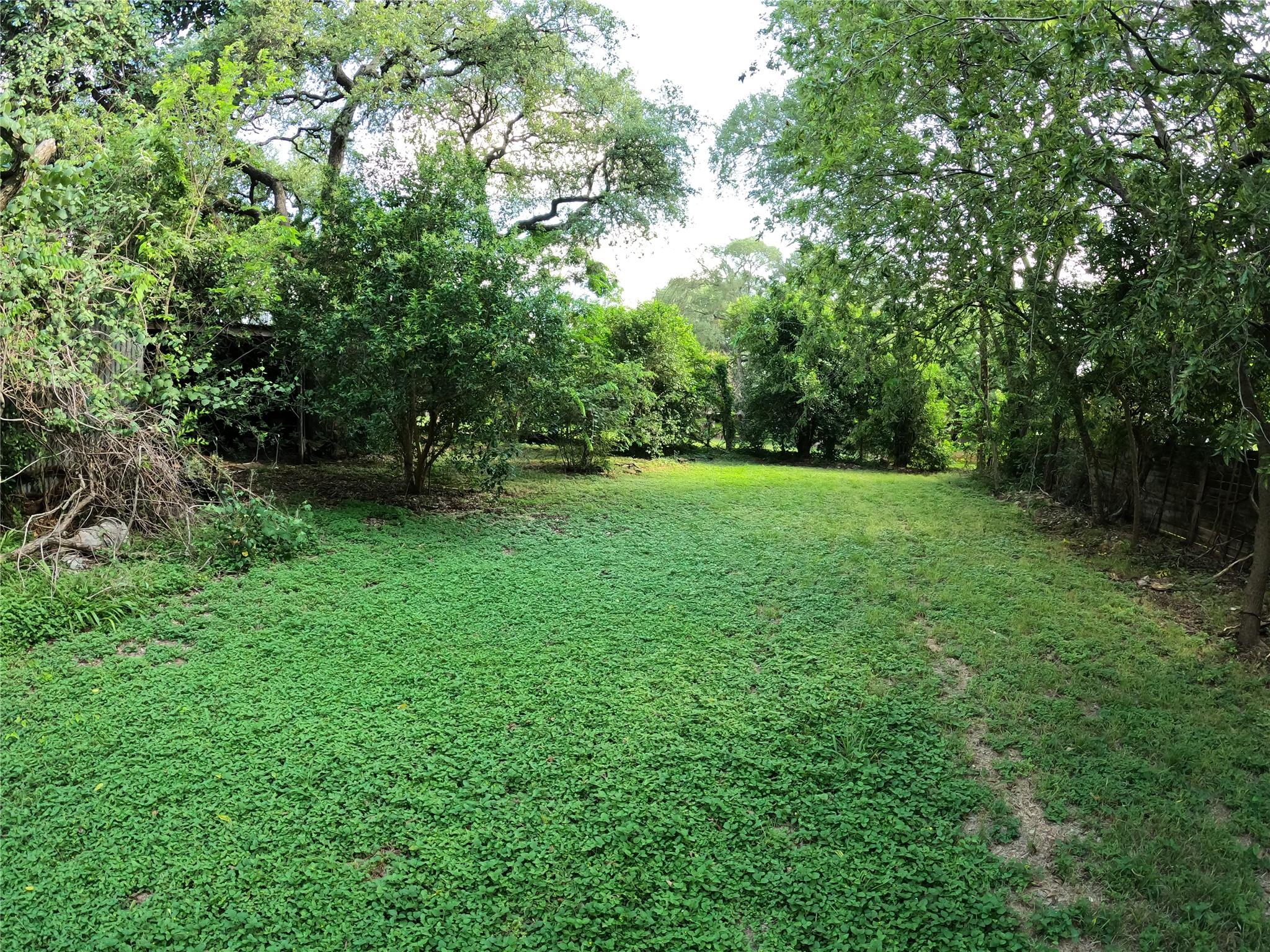 1806 Fortview Rd Property Photo 10
