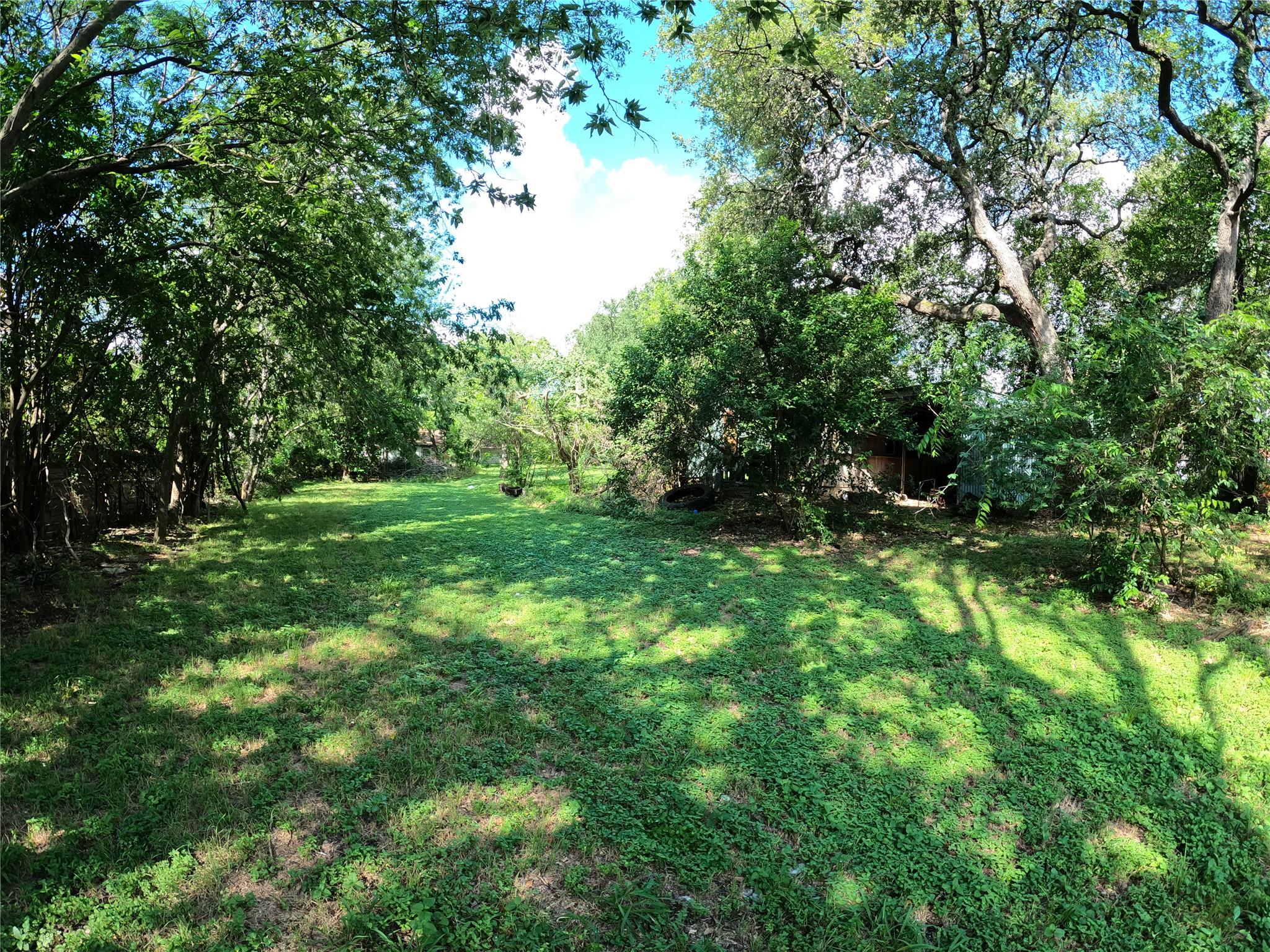 1806 Fortview Rd Property Photo 11