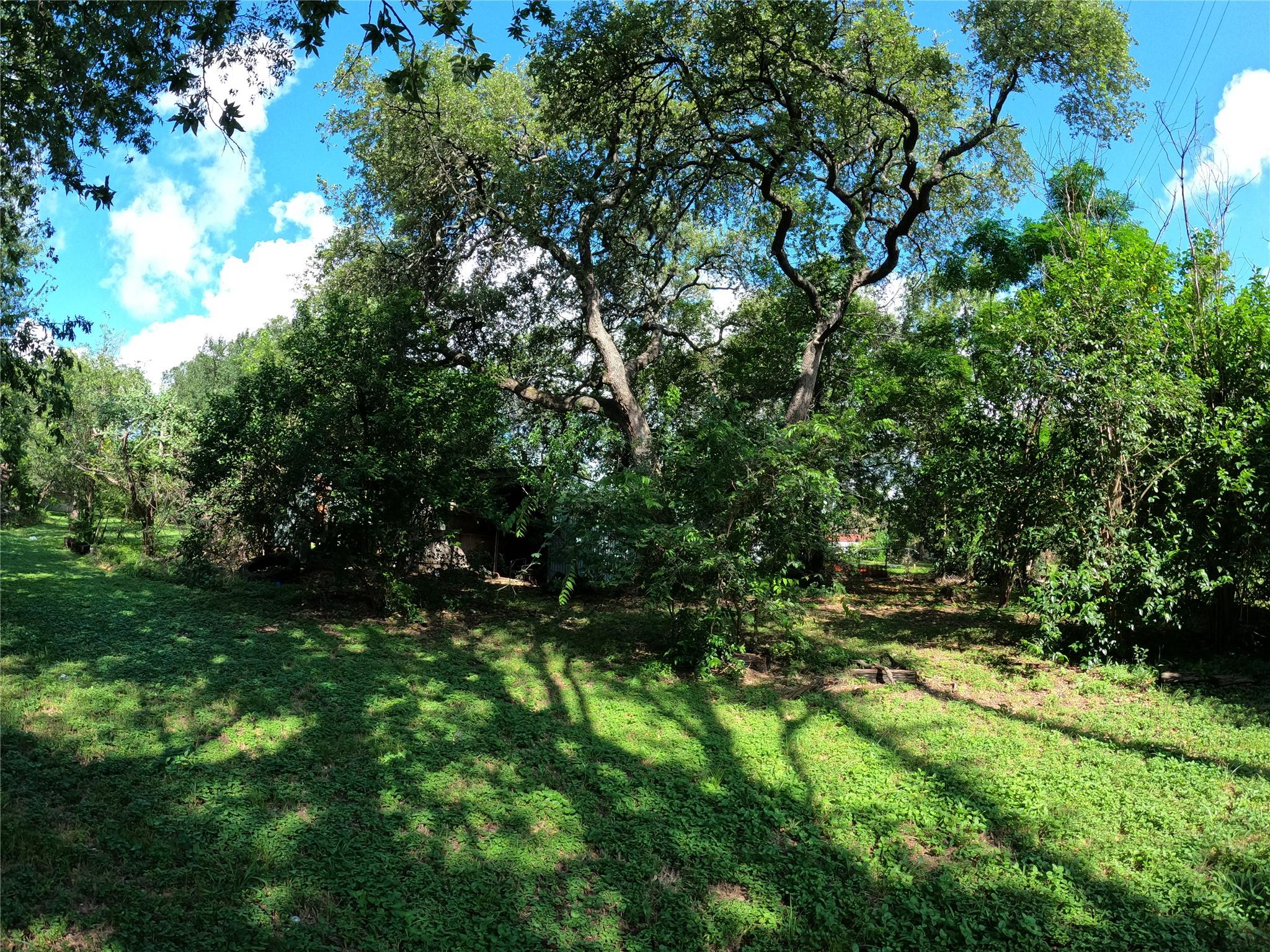 1806 Fortview Rd Property Photo 12