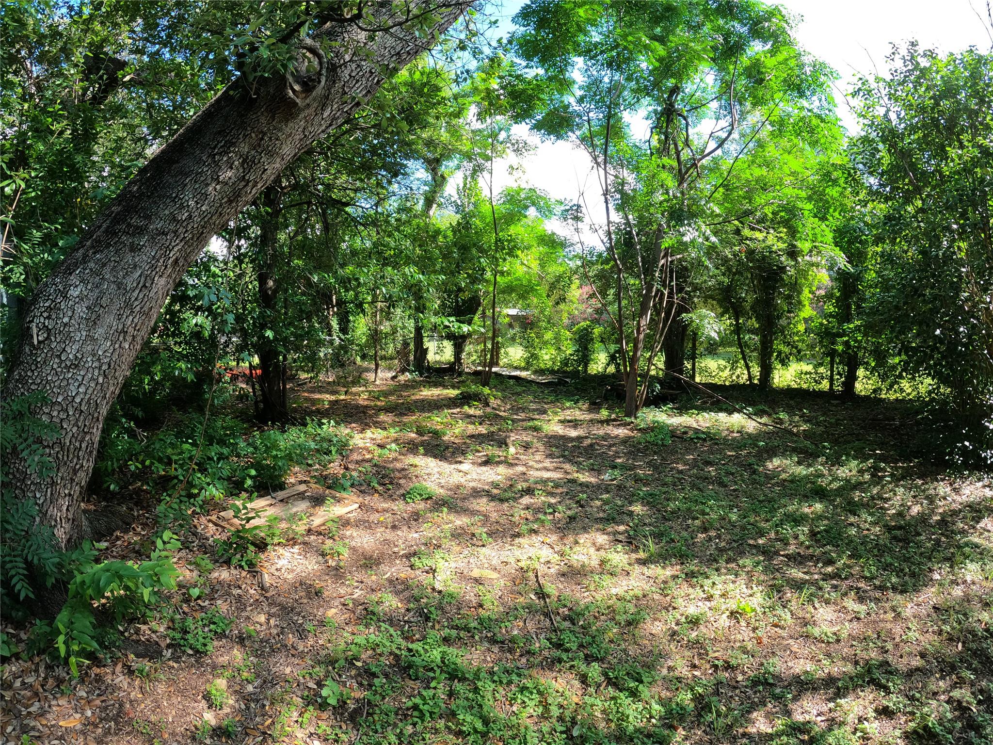 1806 Fortview Rd Property Photo 13