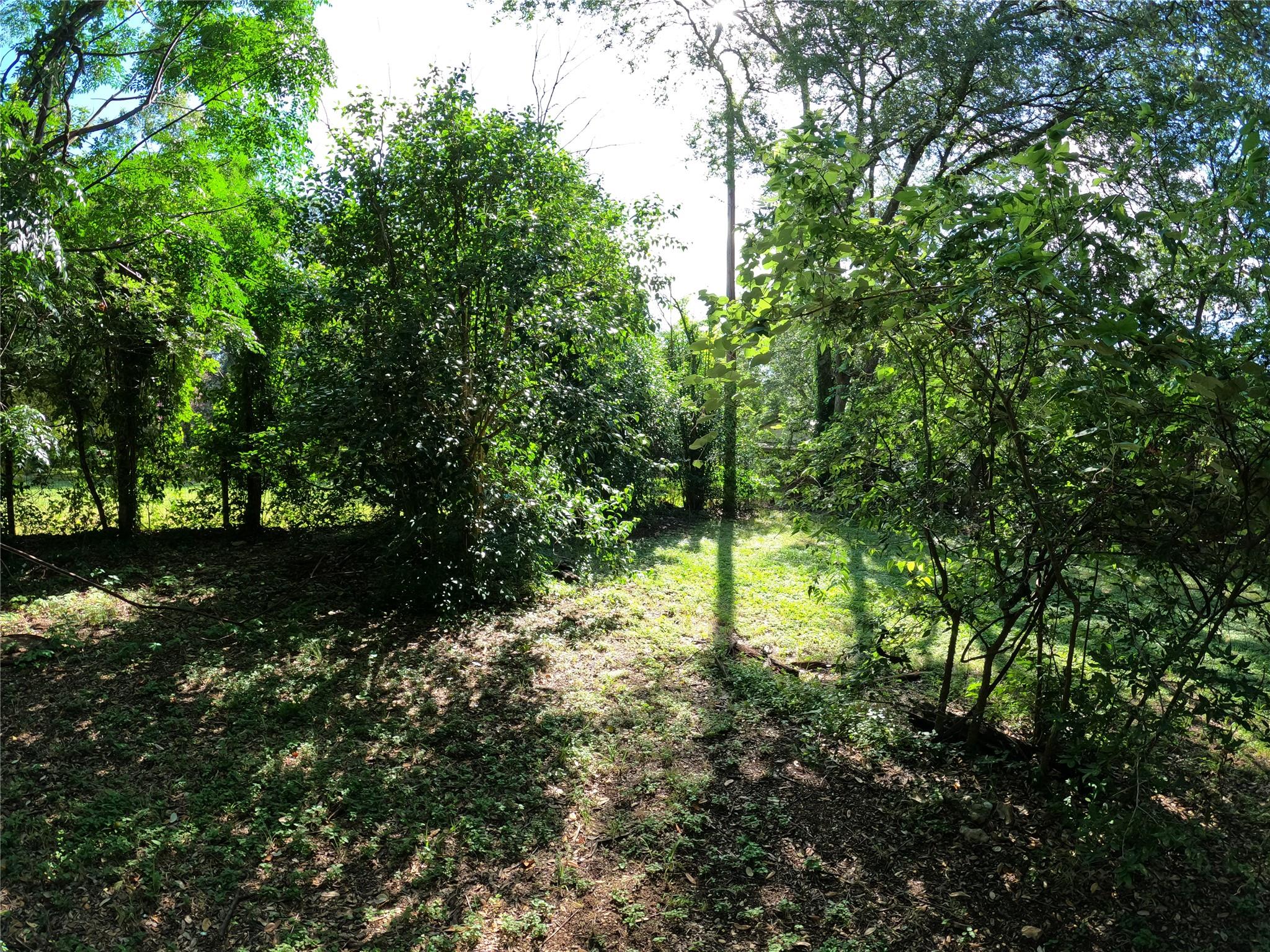 1806 Fortview Rd Property Photo 14
