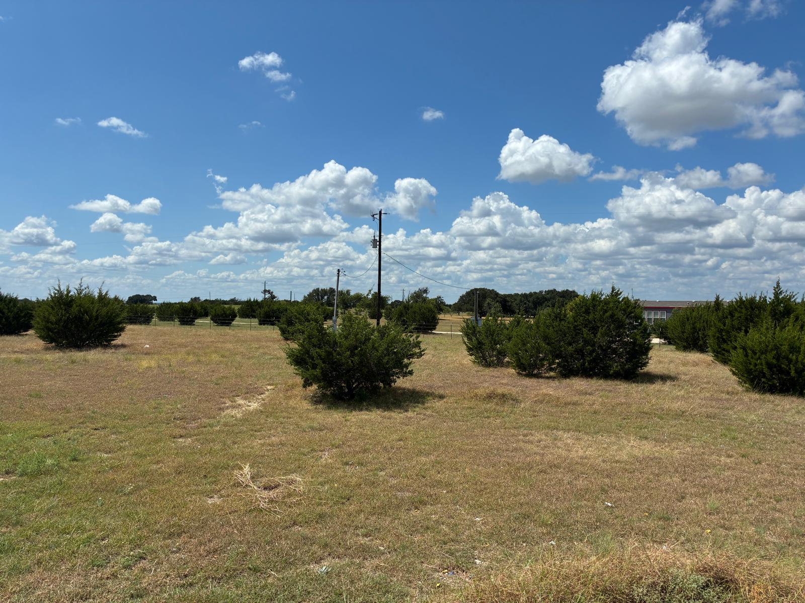 636 County Road 236 None Property Photo 21