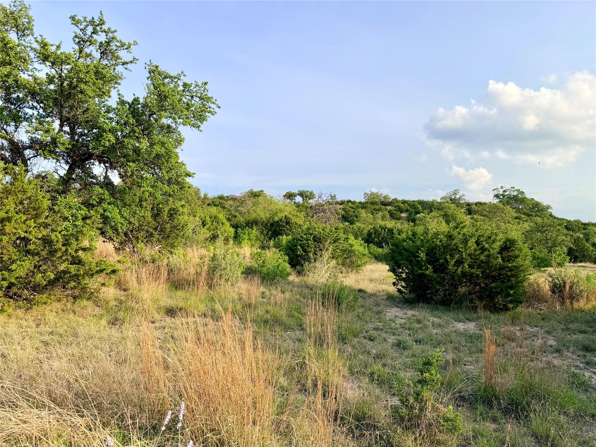 Lot 13 Spies Ridge Dr N Property Photo 10