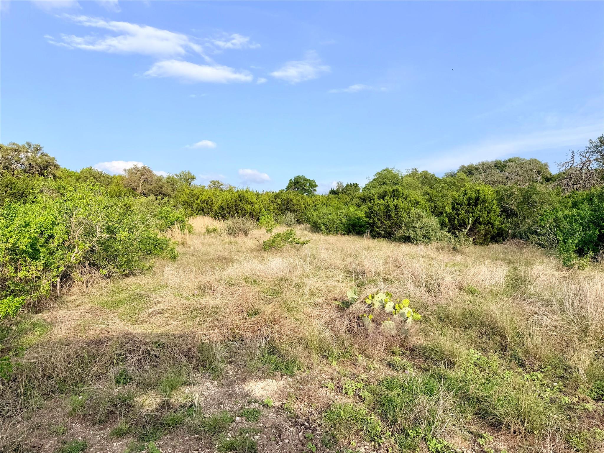 Lot 13 Spies Ridge Dr N Property Photo 14