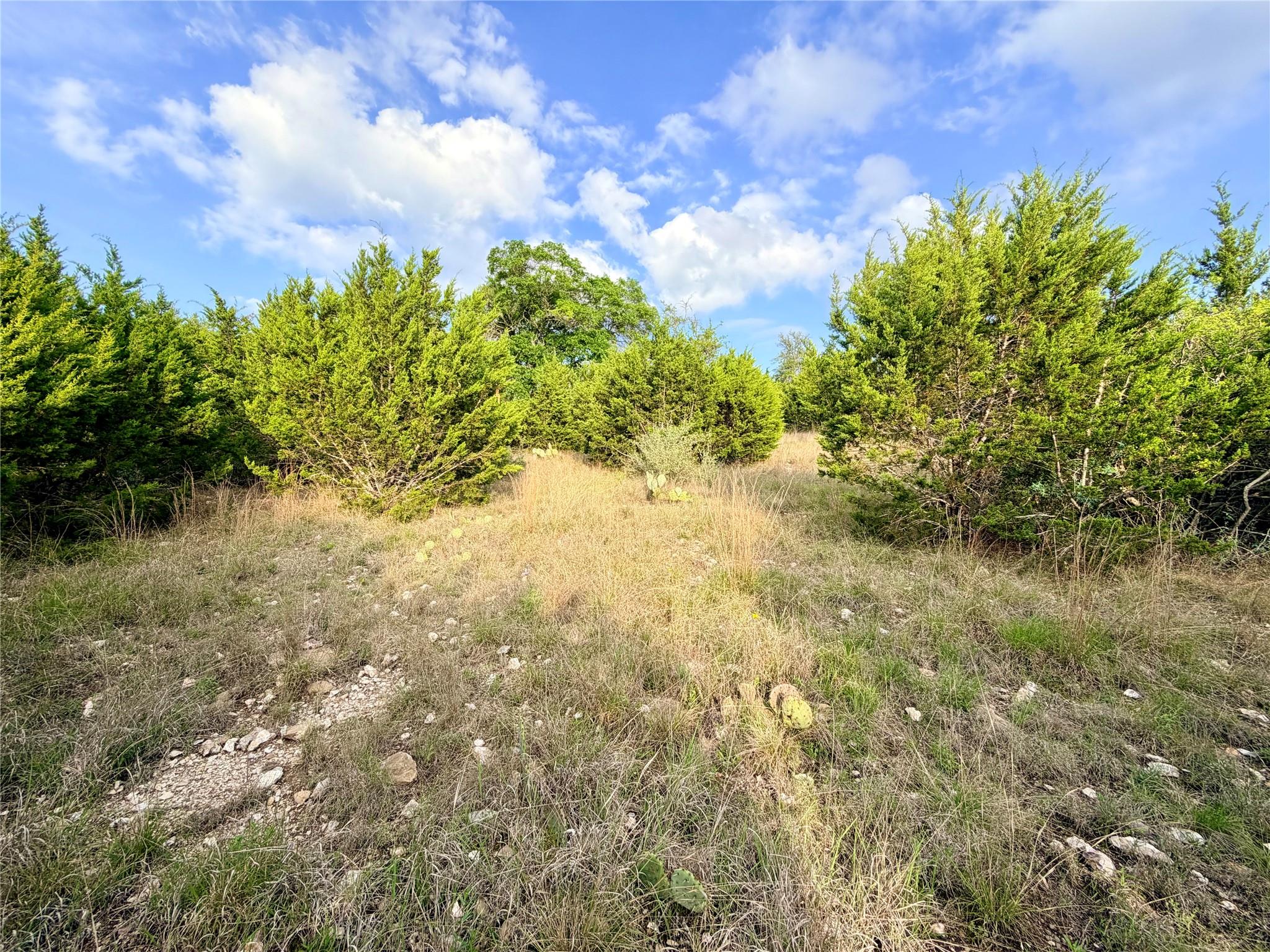 Lot 13 Spies Ridge Dr N Property Photo 15