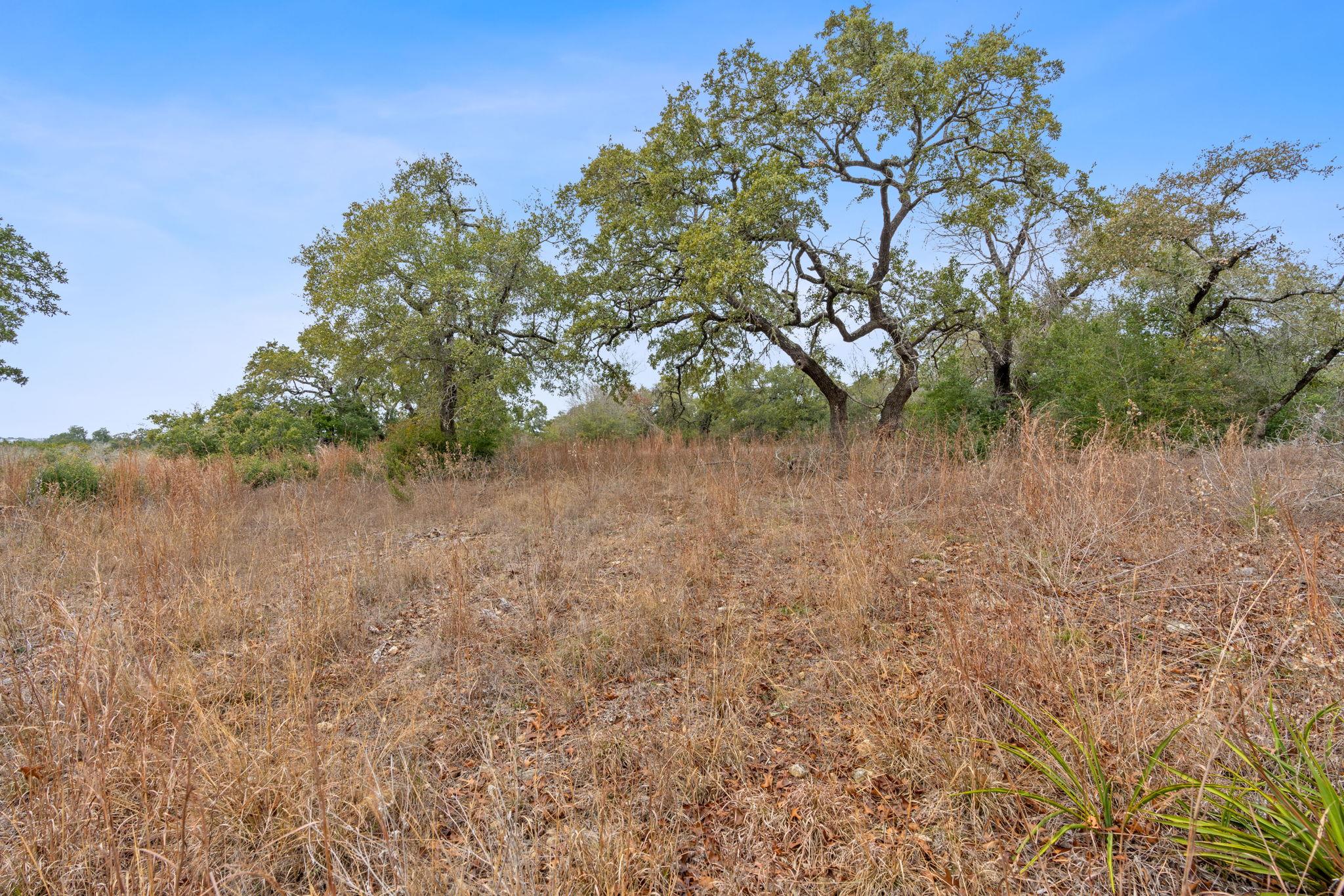 (8105) (lot 35b) Bear Creek Dr Property Photo 11