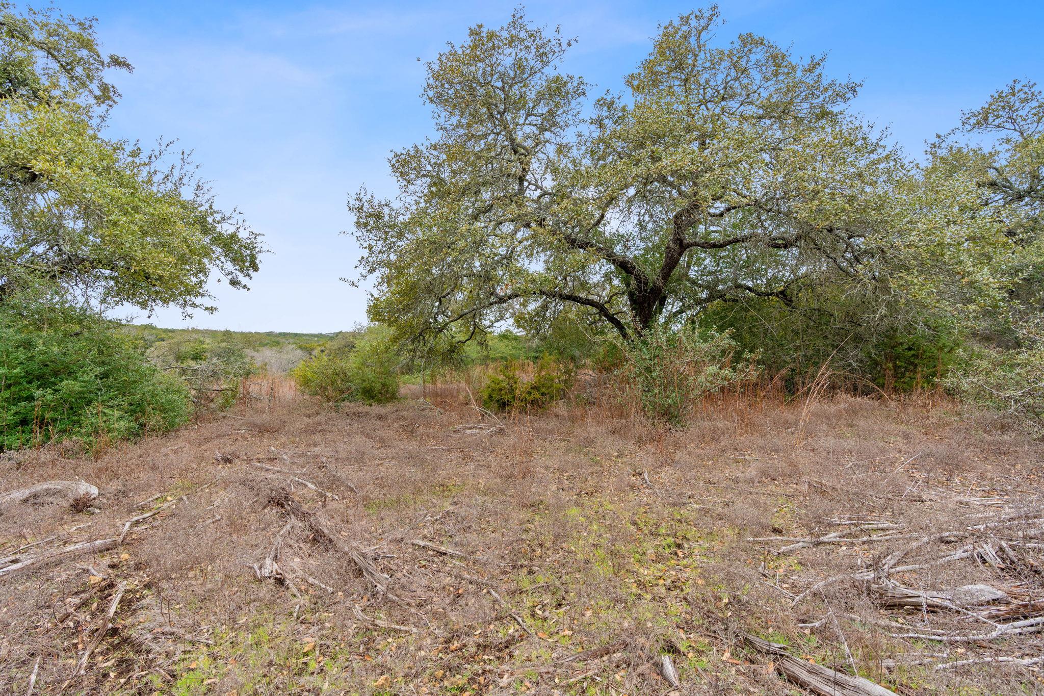 (8105) (lot 35b) Bear Creek Dr Property Photo 14
