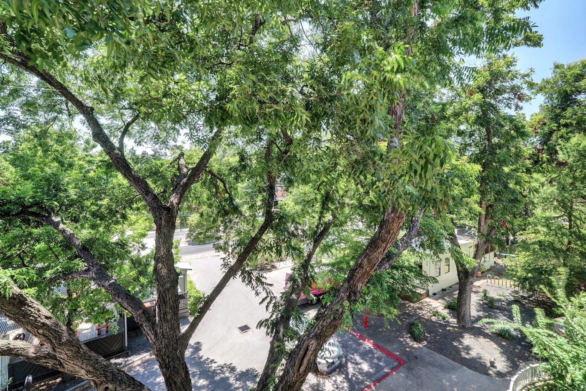 1600 Barton Springs Rd #6306 Property Photo 24