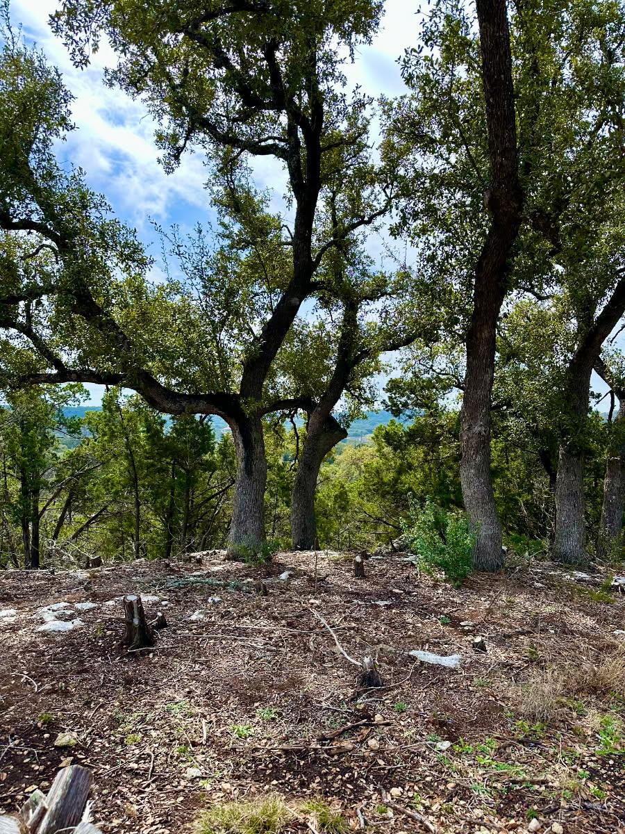 795 Cimarron None Property Photo 2