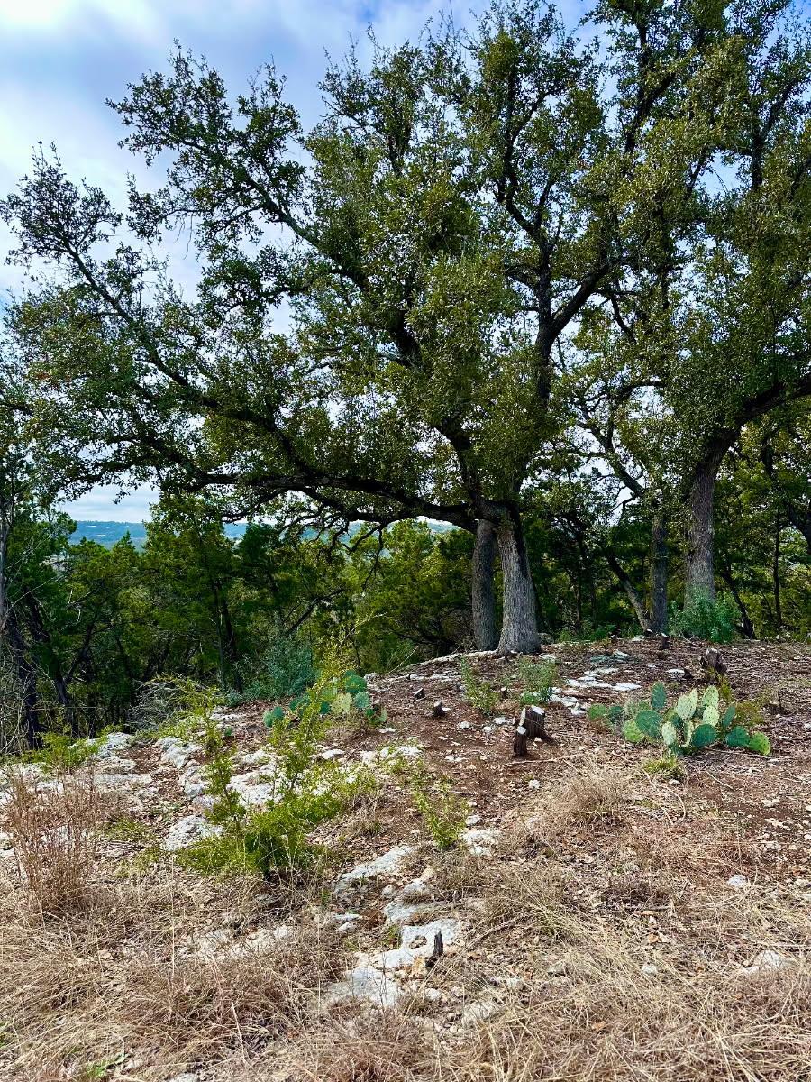 795 Cimarron None Property Photo 4
