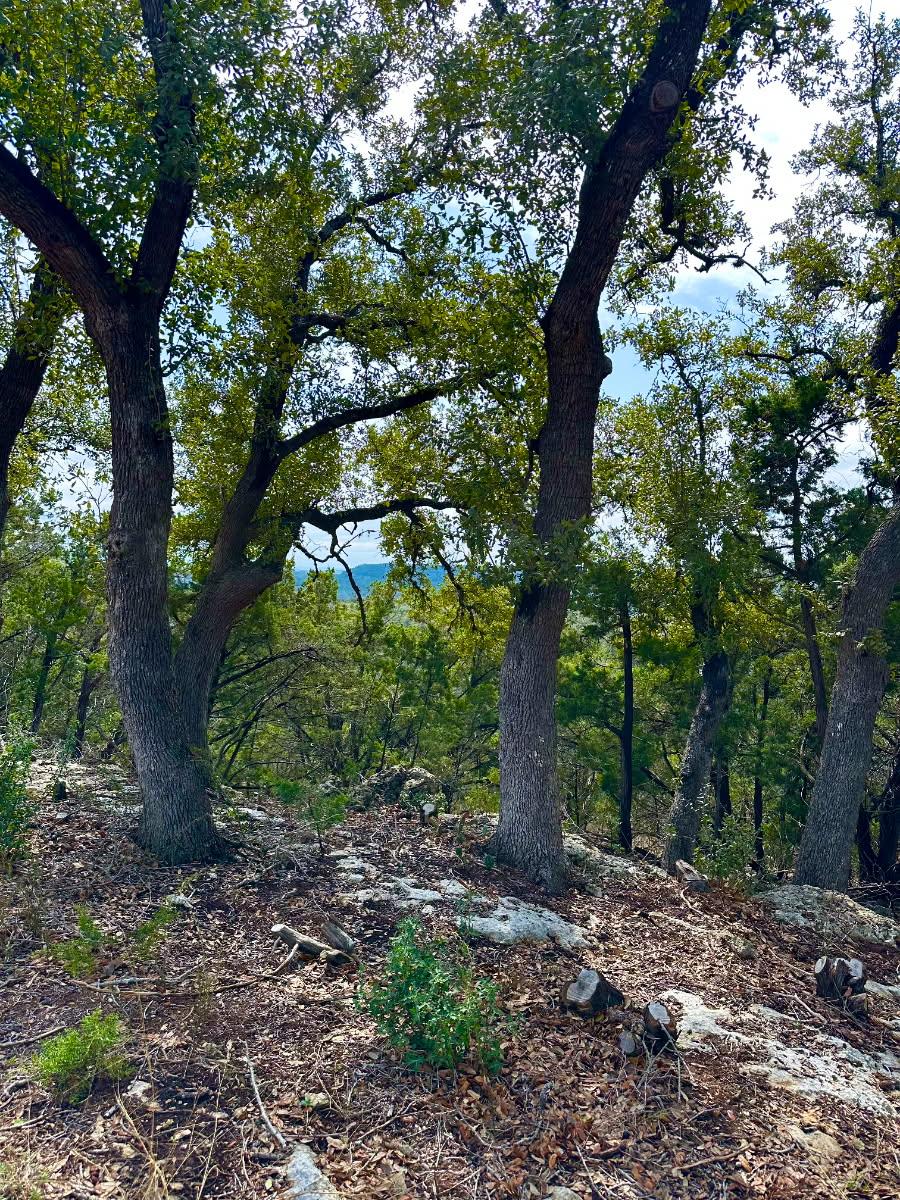 795 Cimarron None Property Photo 6