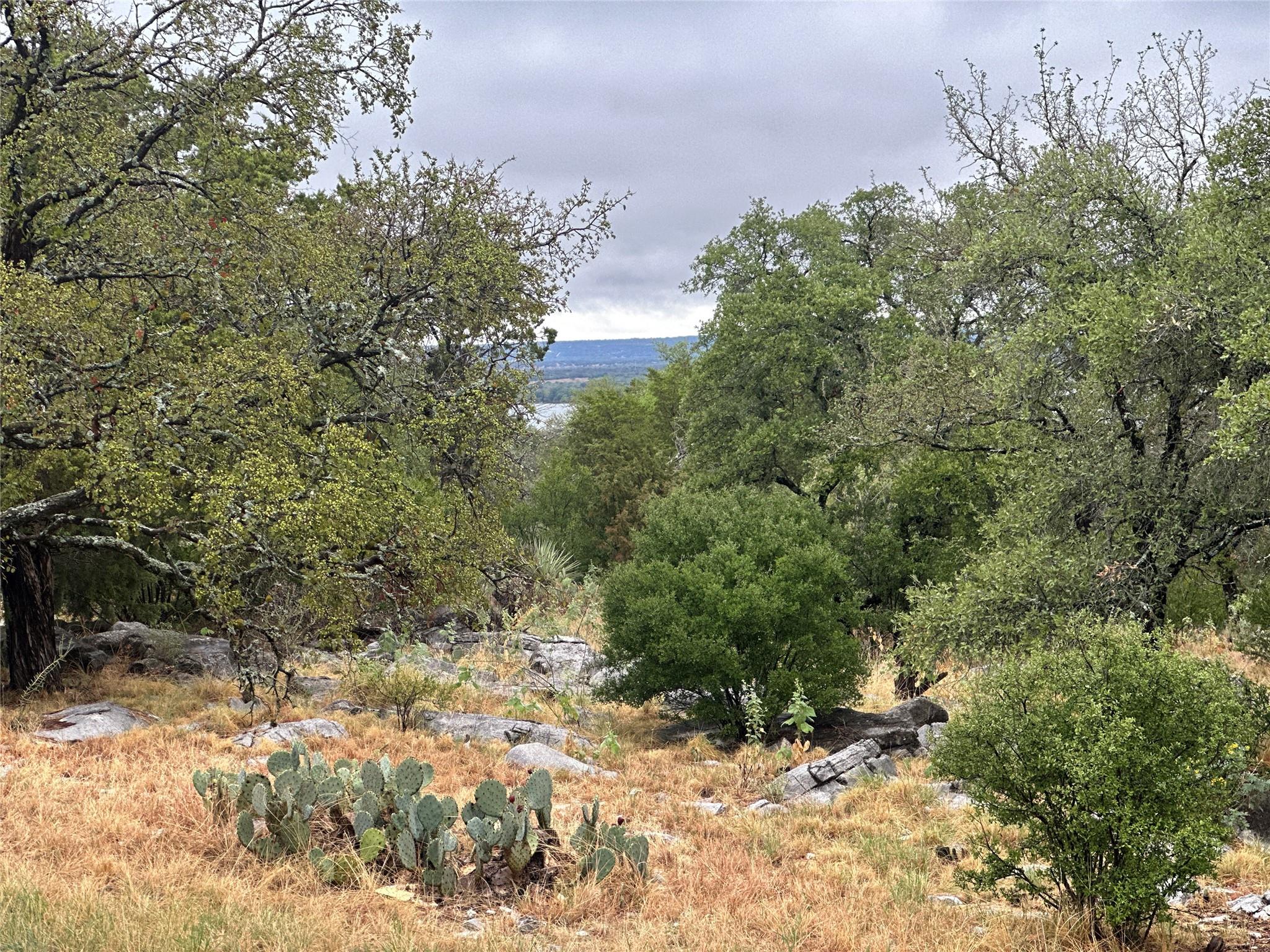820 Mountain Dew None Property Photo 1