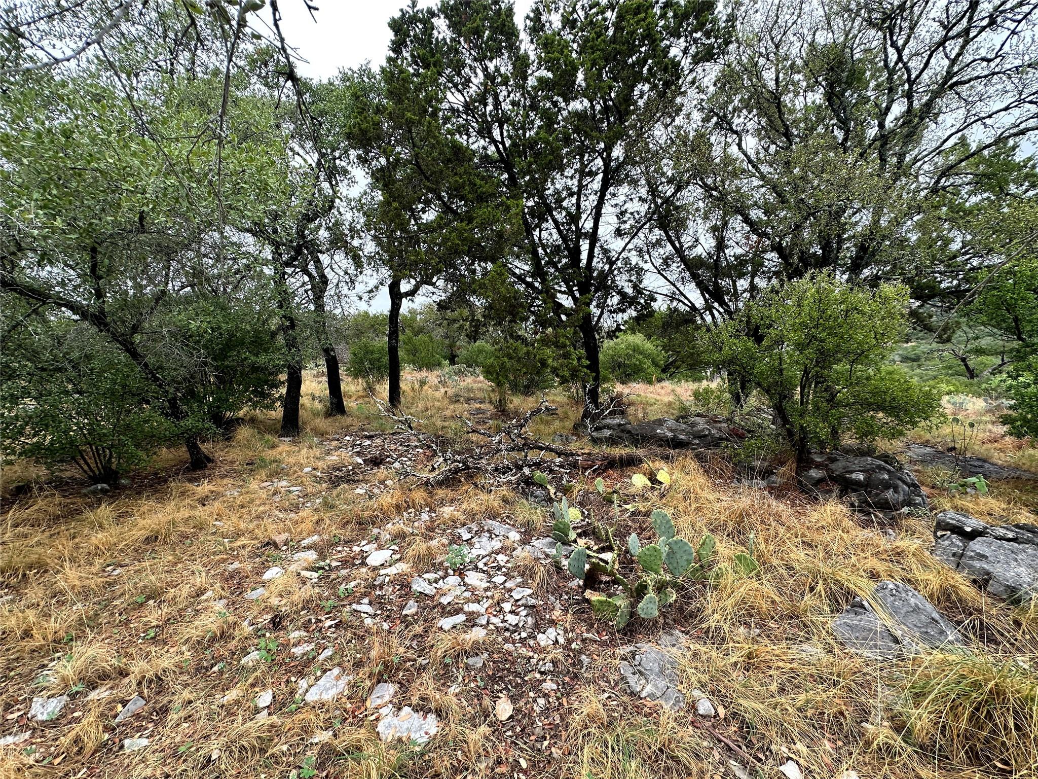 820 Mountain Dew None Property Photo 2