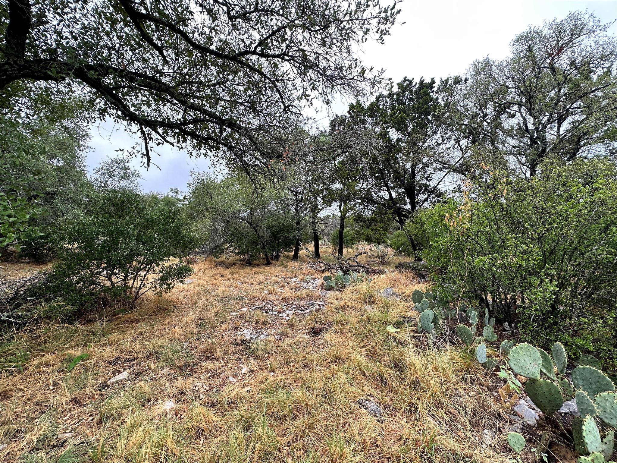 820 Mountain Dew None Property Photo 3