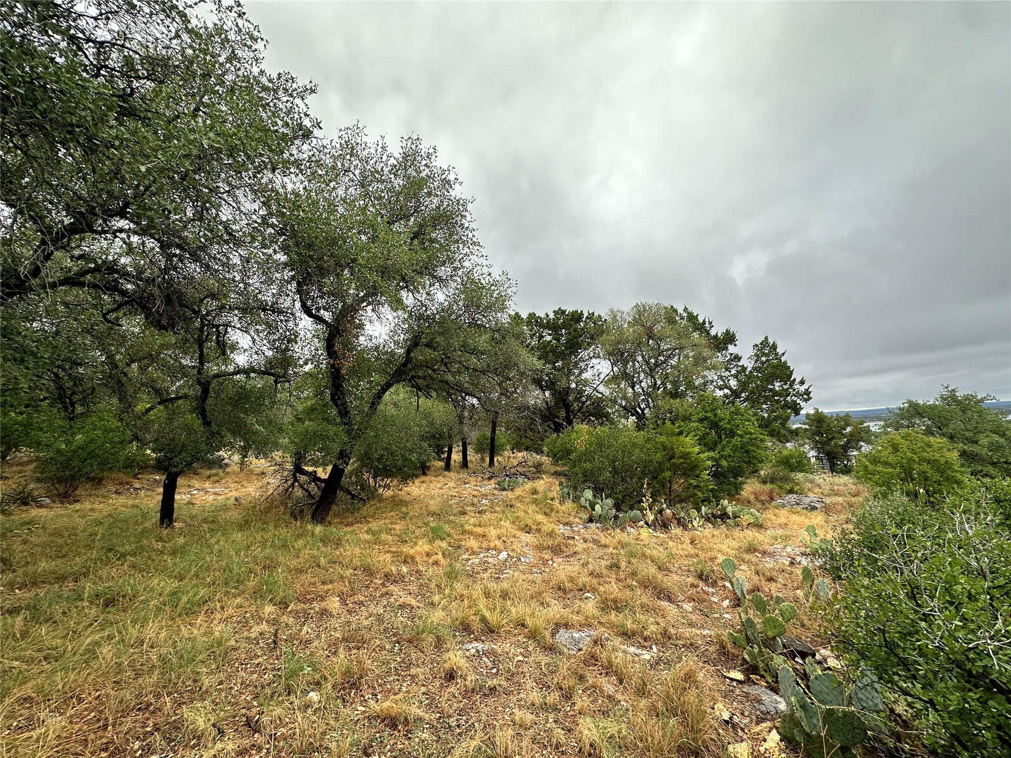 820 Mountain Dew None Property Photo 6