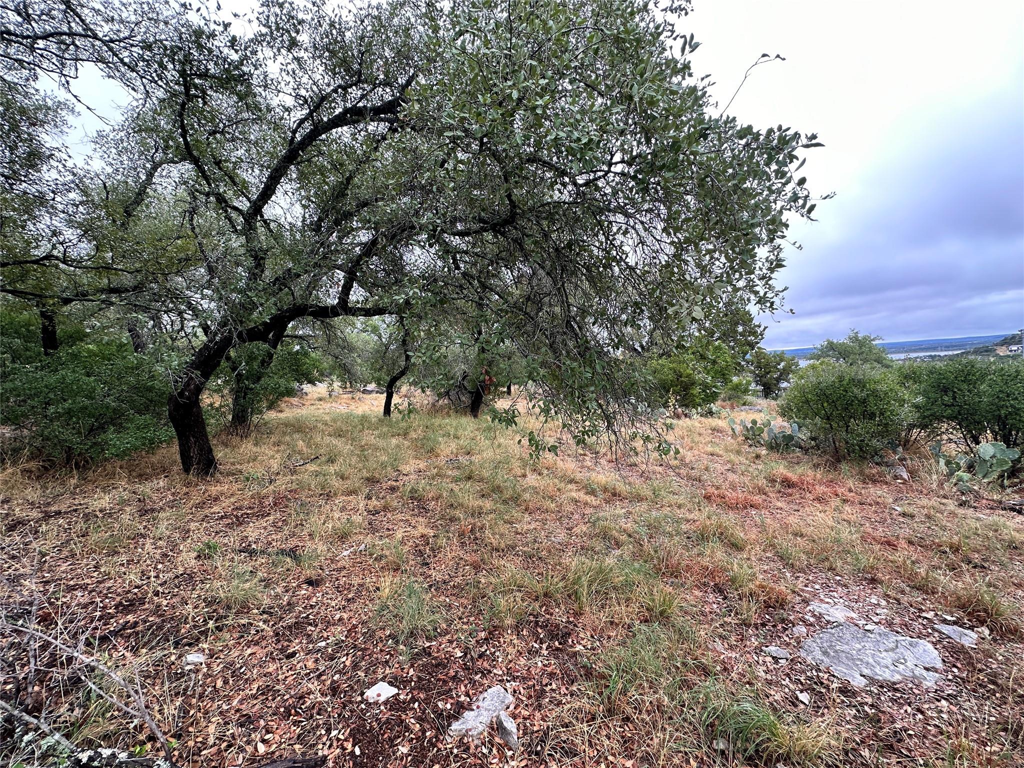 820 Mountain Dew None Property Photo 7