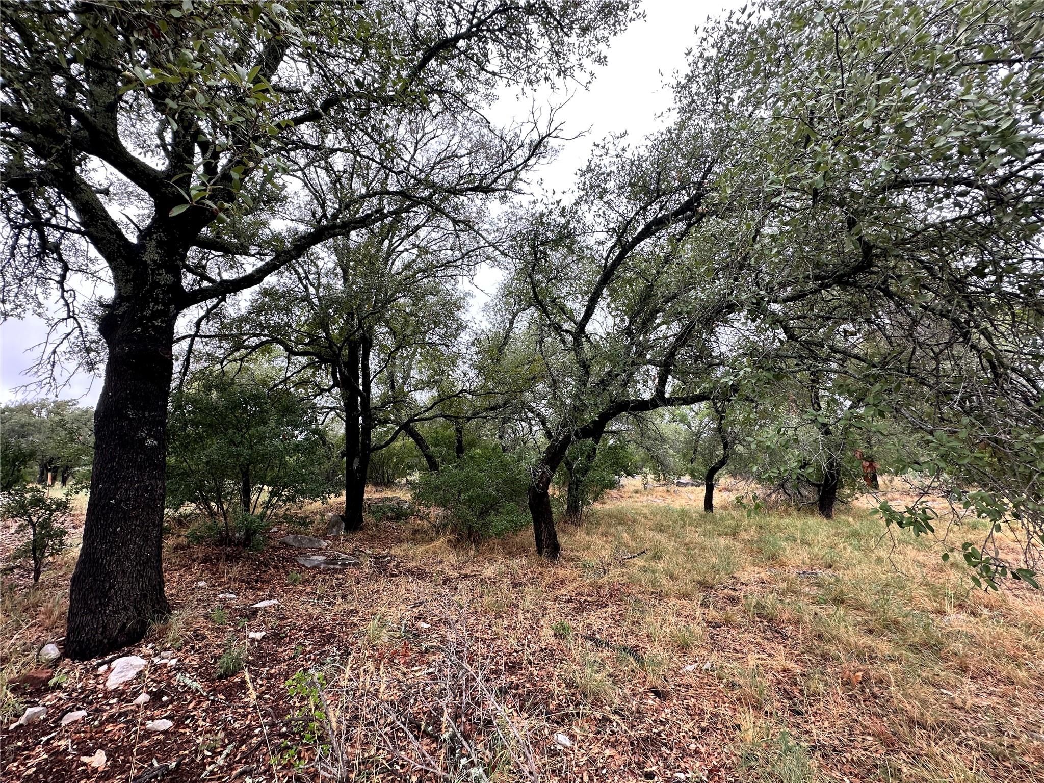 820 Mountain Dew None Property Photo 8