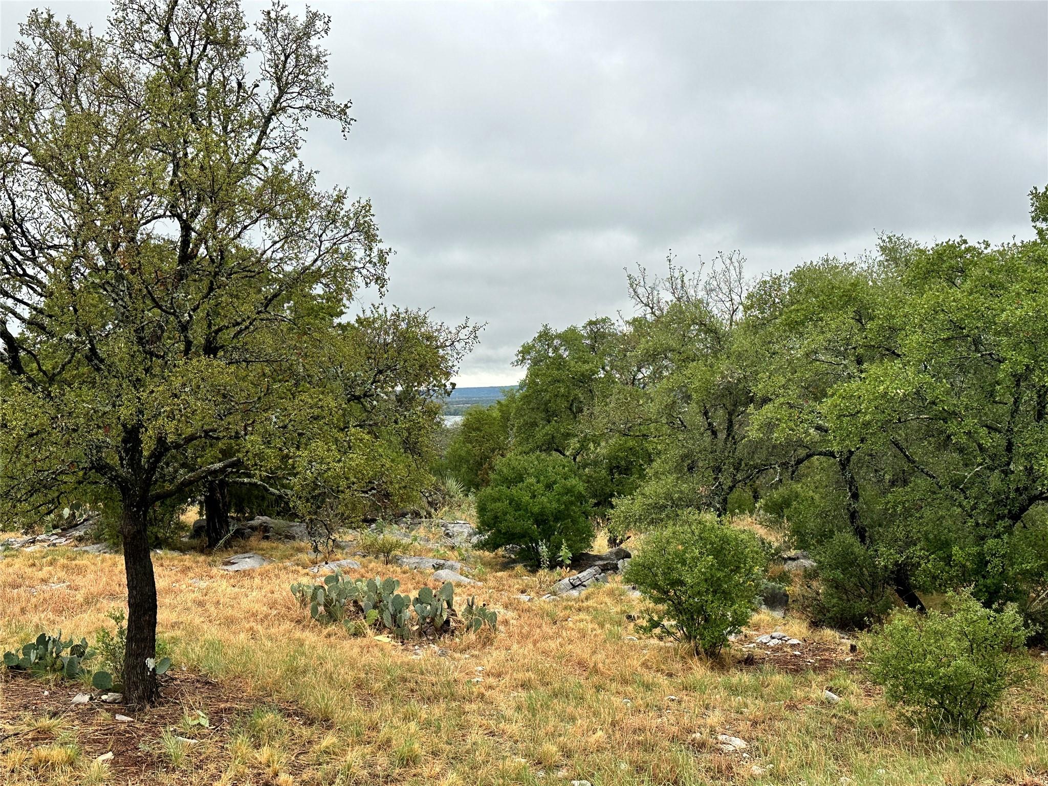820 Mountain Dew None Property Photo 10