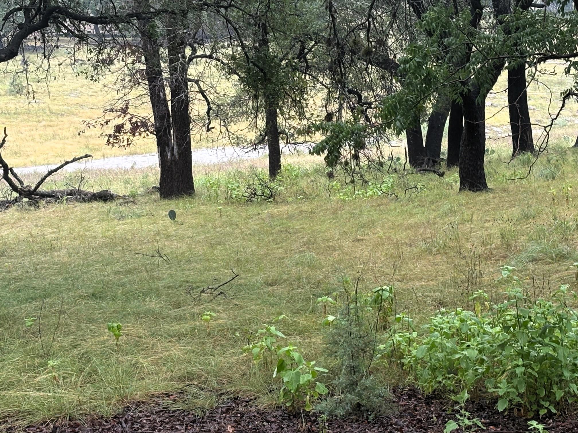1307 Emerald Rd Property Photo 20