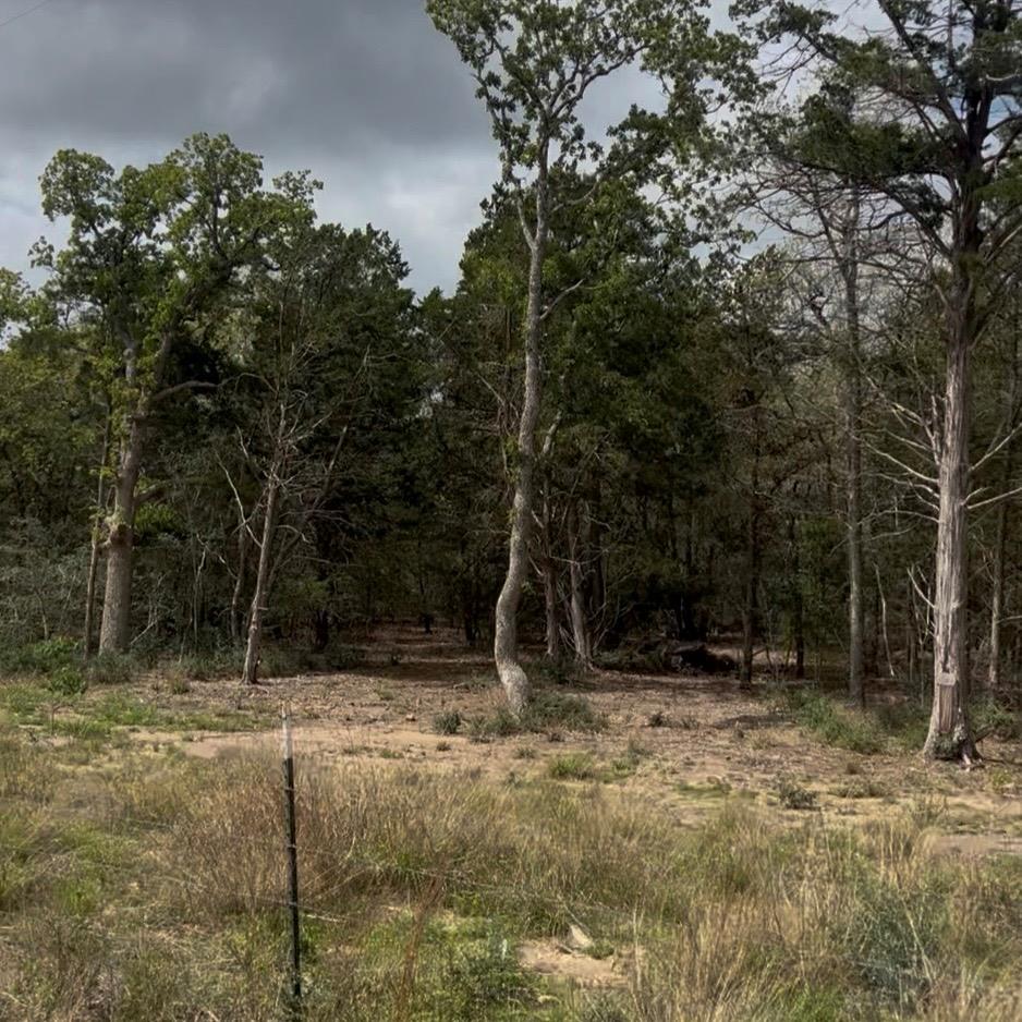 Lot 15 Antioch Rd Property Photo 1