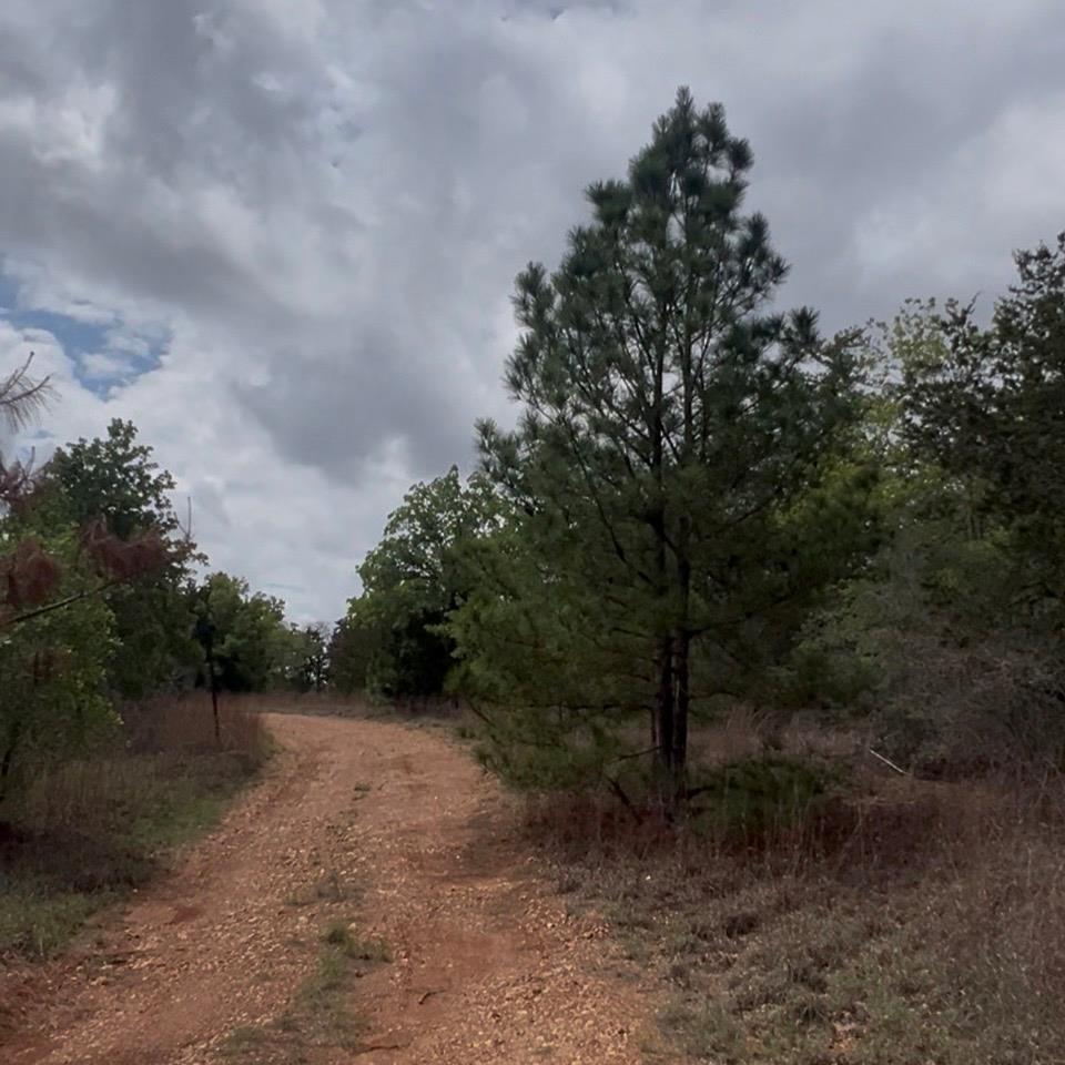 Lot 15 Antioch Rd Property Photo 5