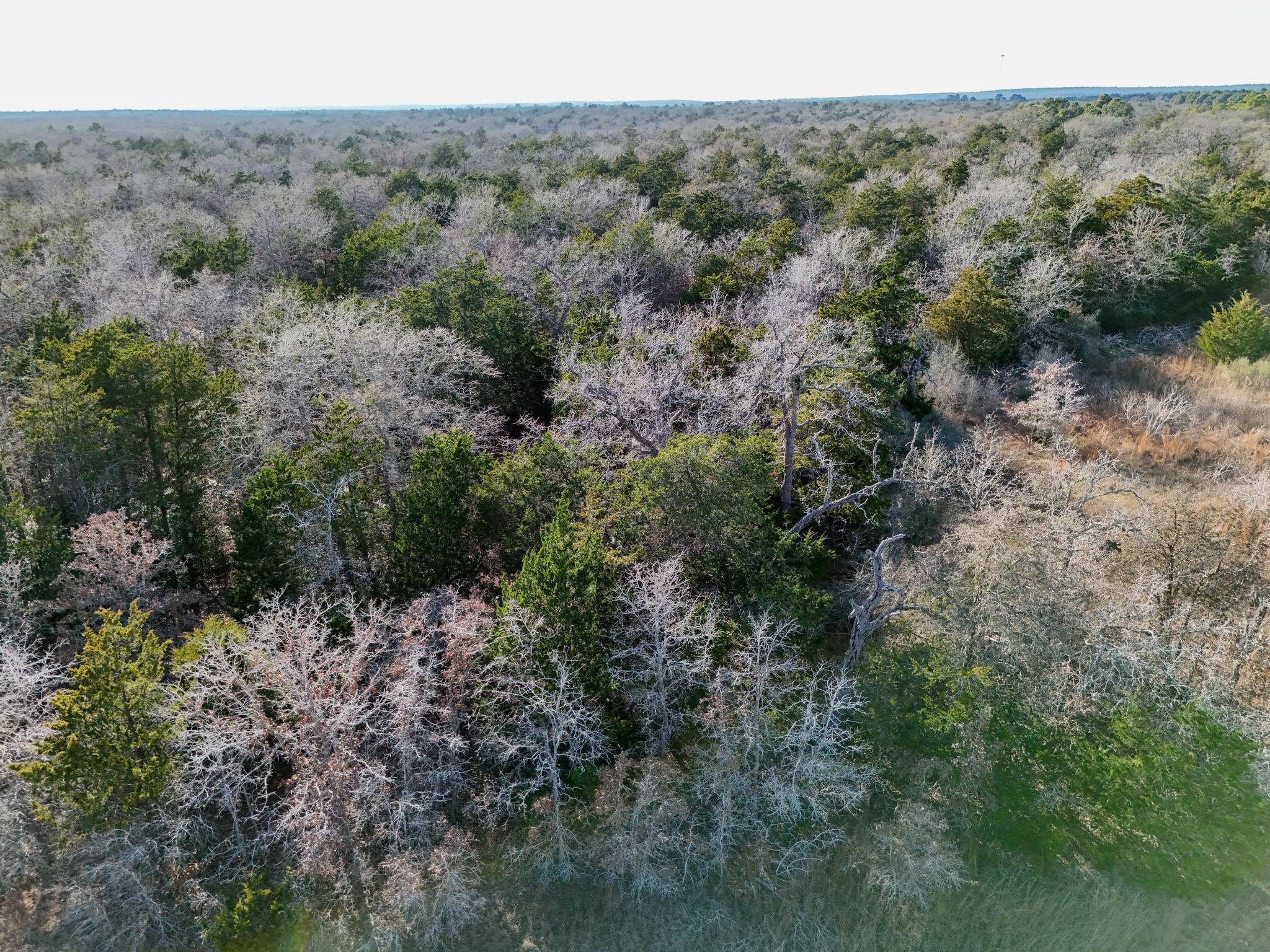 Lot 15 Antioch Rd Property Photo 9