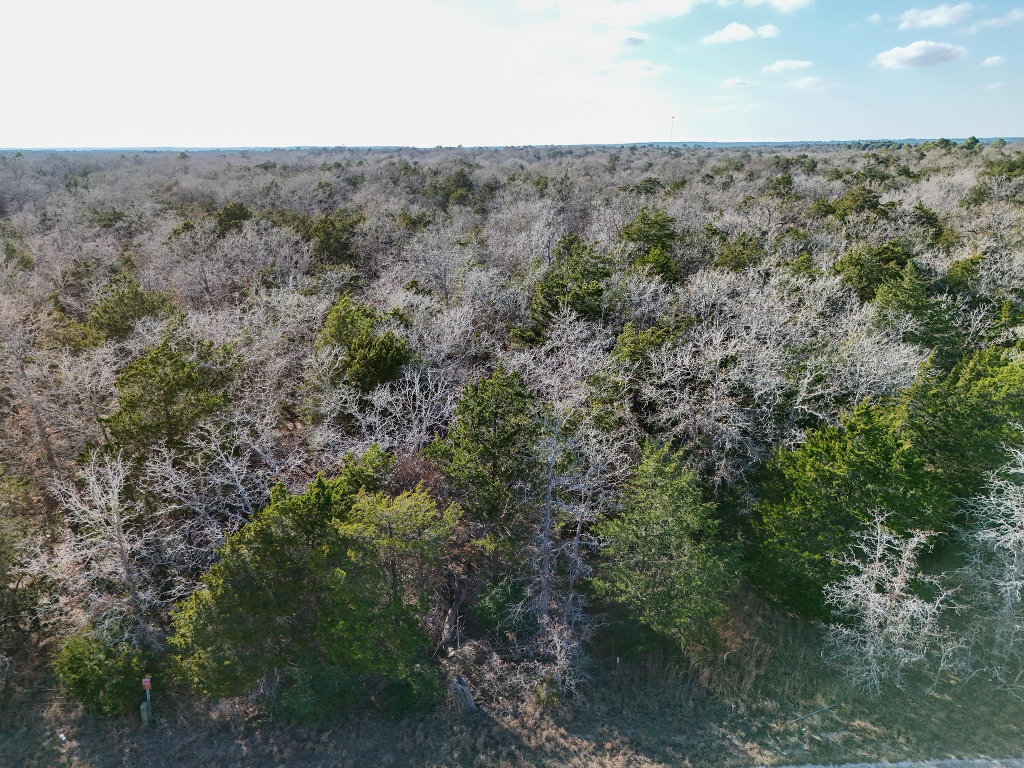 Lot 15 Antioch Rd Property Photo 13